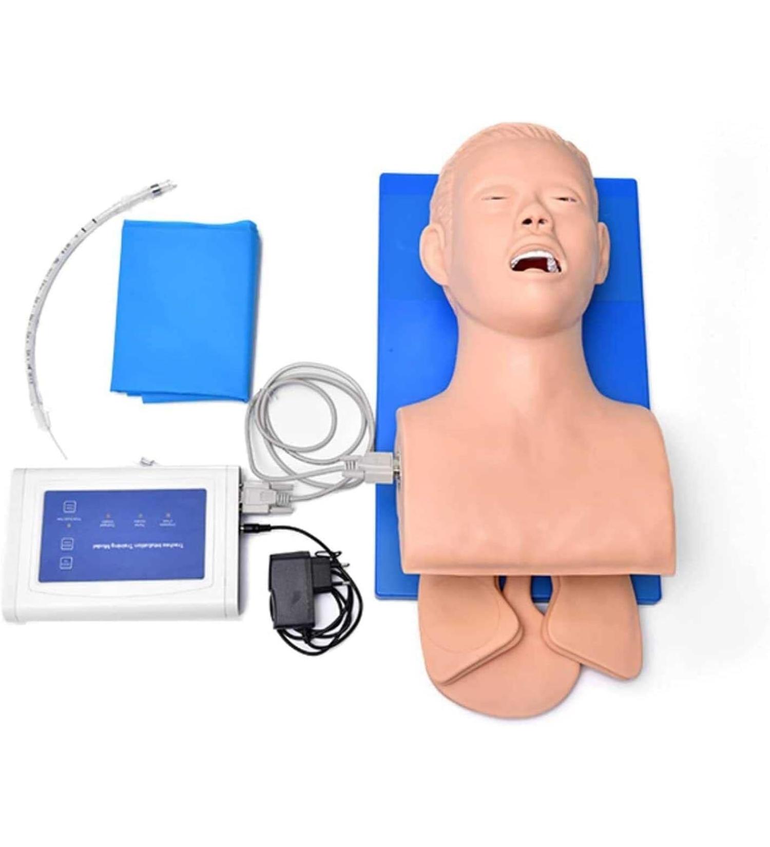 Buy Adult Intubation Teaching Model - Electronic Airway Management Trainer for Nursing | International Shipping Available - Buy Online on GoSupps.com