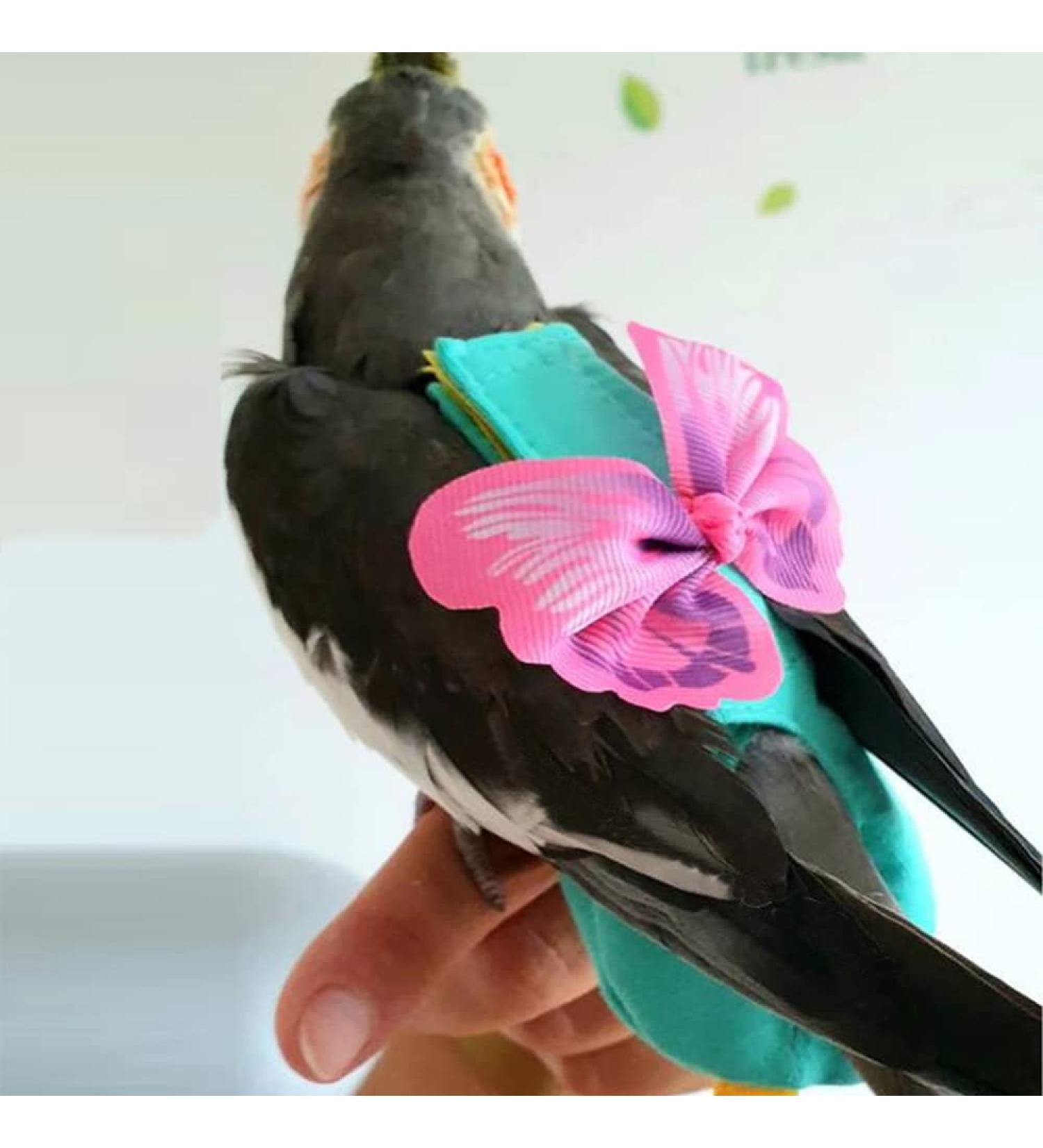 Hapihom Parrot Diapers with Dishes & Leash | Airwear Suits for Small & Medium Birds | Ideal for Parrots & Nymphs - Buy Online on GoSupps.com