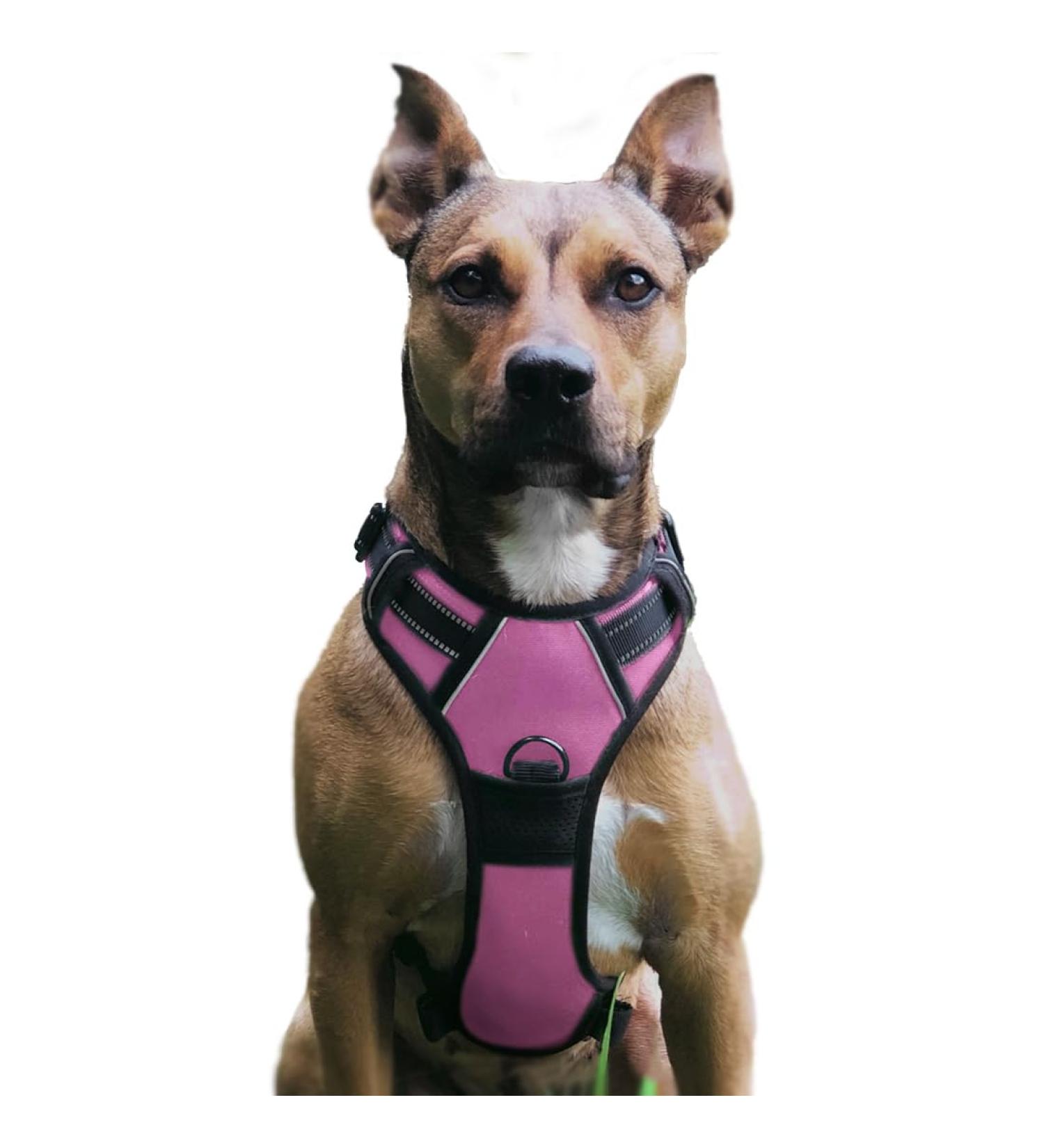 Adjustable No Pull Dog Harness & Soft Padded Reflective Dog Dishes | Breathable & Comfortable for Dogs - Pink Large - Buy Online on GoSupps.com