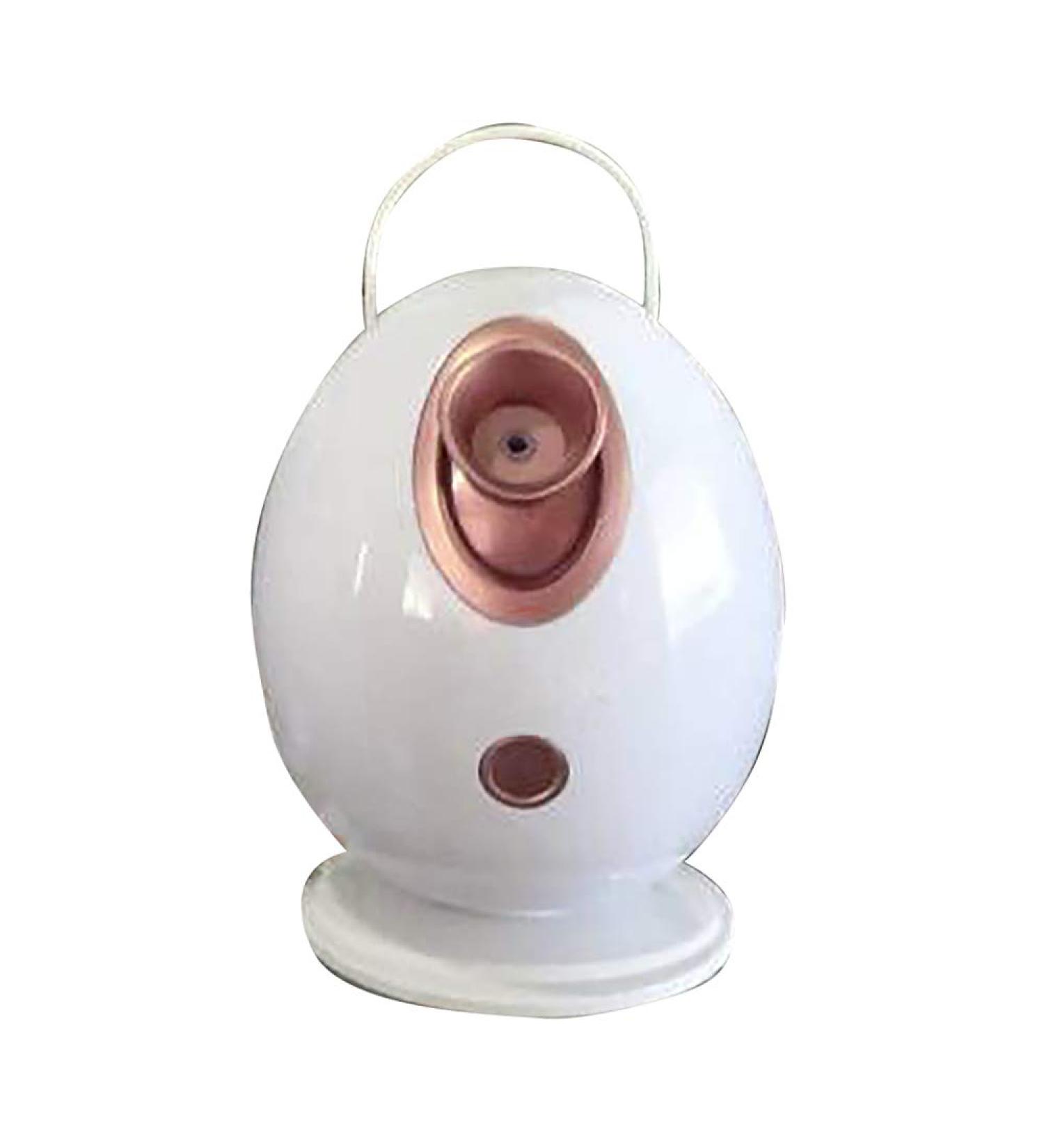 Mini Face Vapeur Inhalateur Sauna Nano Ionique Visage Vapeur Sauna Pores Brume Chaude Hydratant Beaut Instrument pour la Peau Rajeunir Hydrate Dor  - Buy Online on GoSupps.com