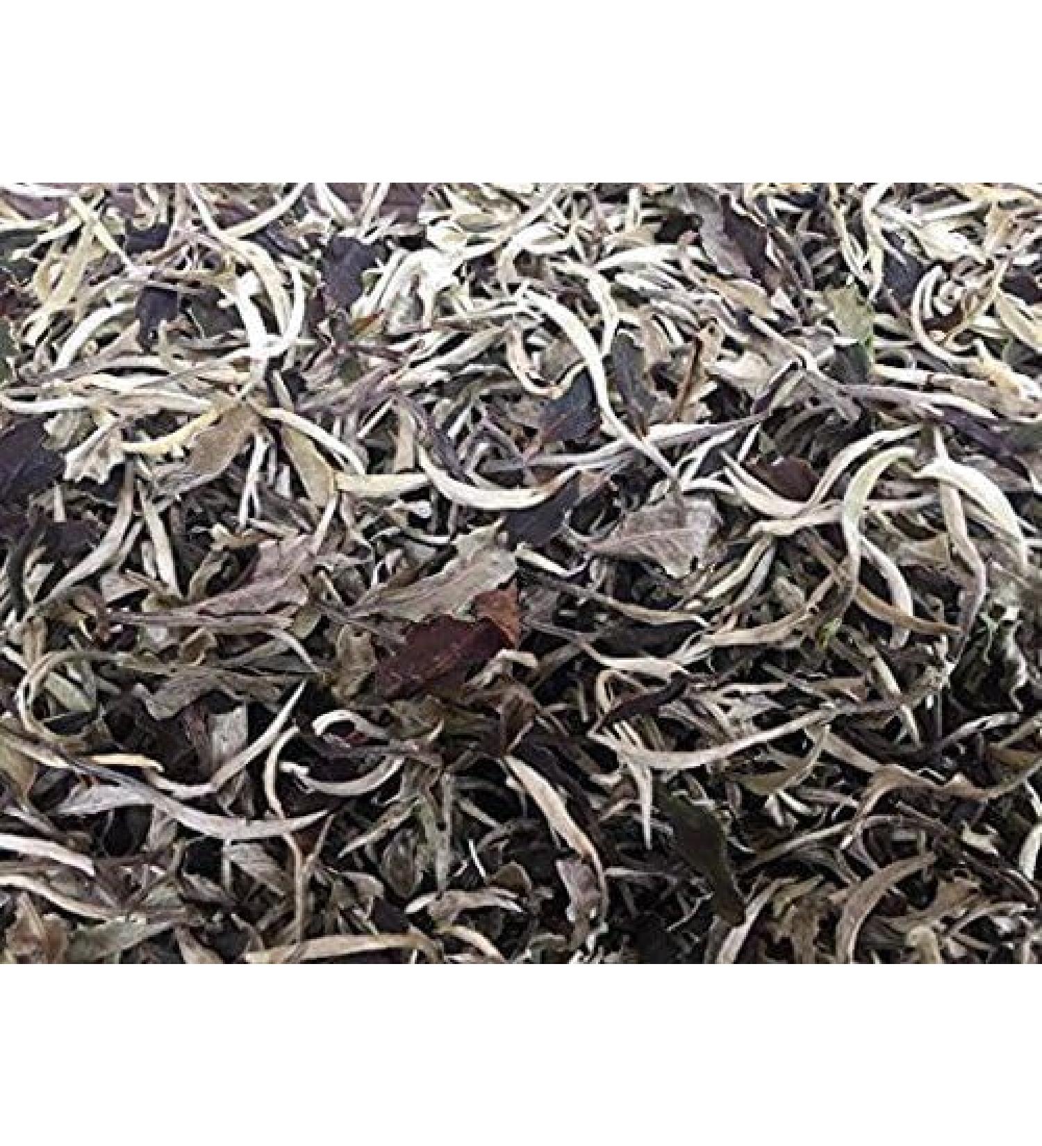 WENXUANSU: white tea premium grade loose leaf bag packing total 3 Pound (1362 g)