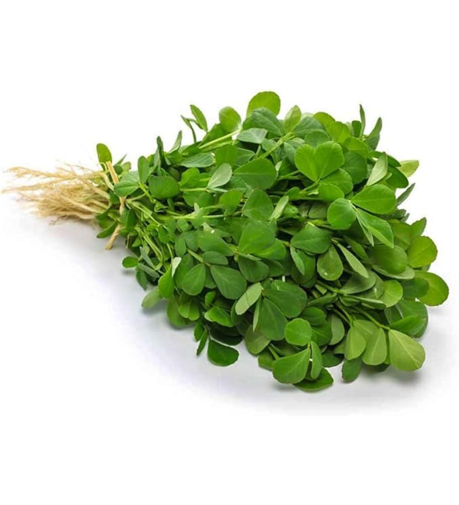 Seelans Fresh Methi Leaf Bunch Double Bunch Methi Indian herb Fresh Leaf Venthaya Keerai Fenugreek leaves Bitter Taste & Strong Aroma Approx 200G - Buy Online on GoSupps.com