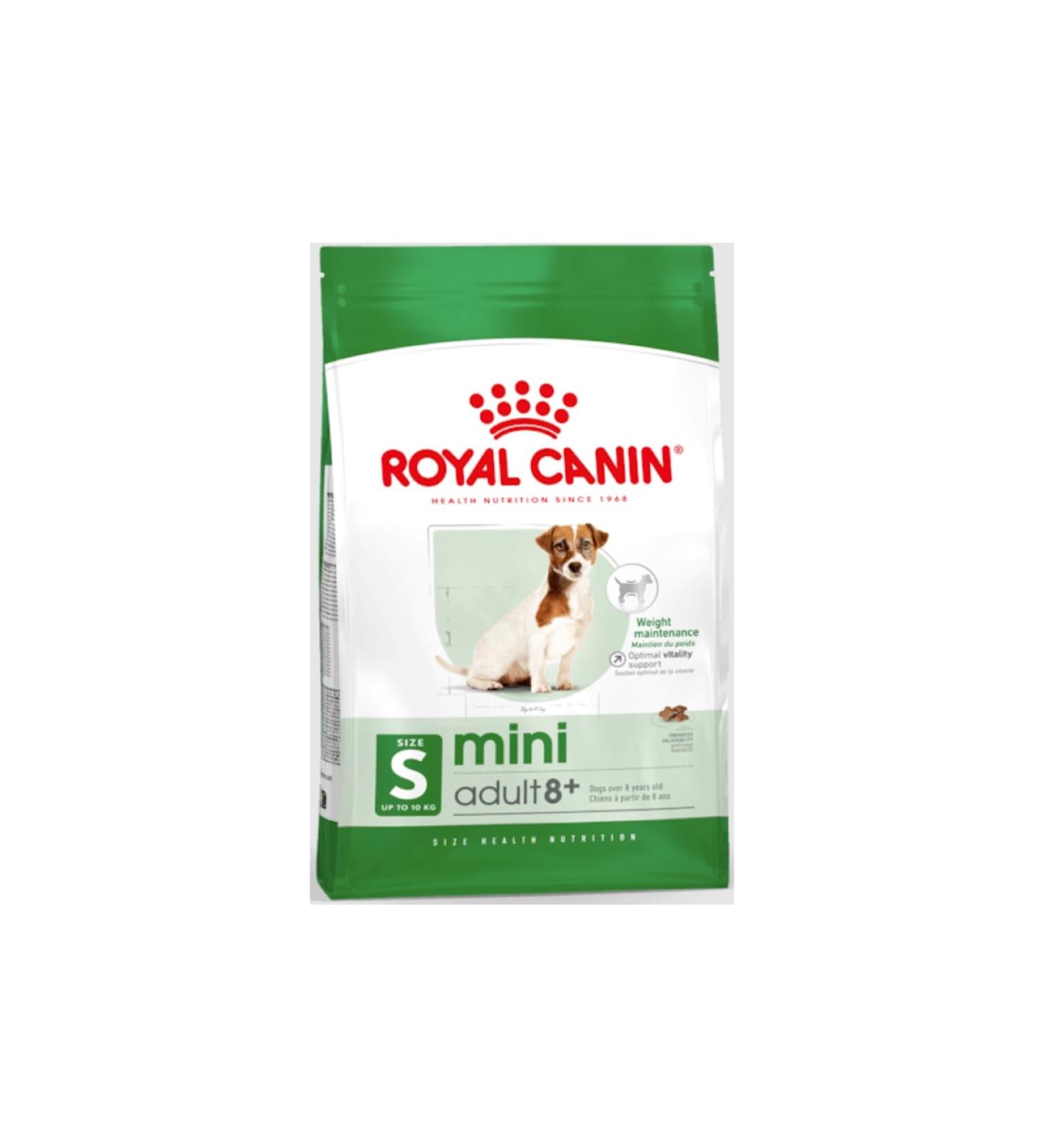 Royal Canin Mini Adult 8+ Dry Dog Food 2kg - Buy Online on GoSupps.com
