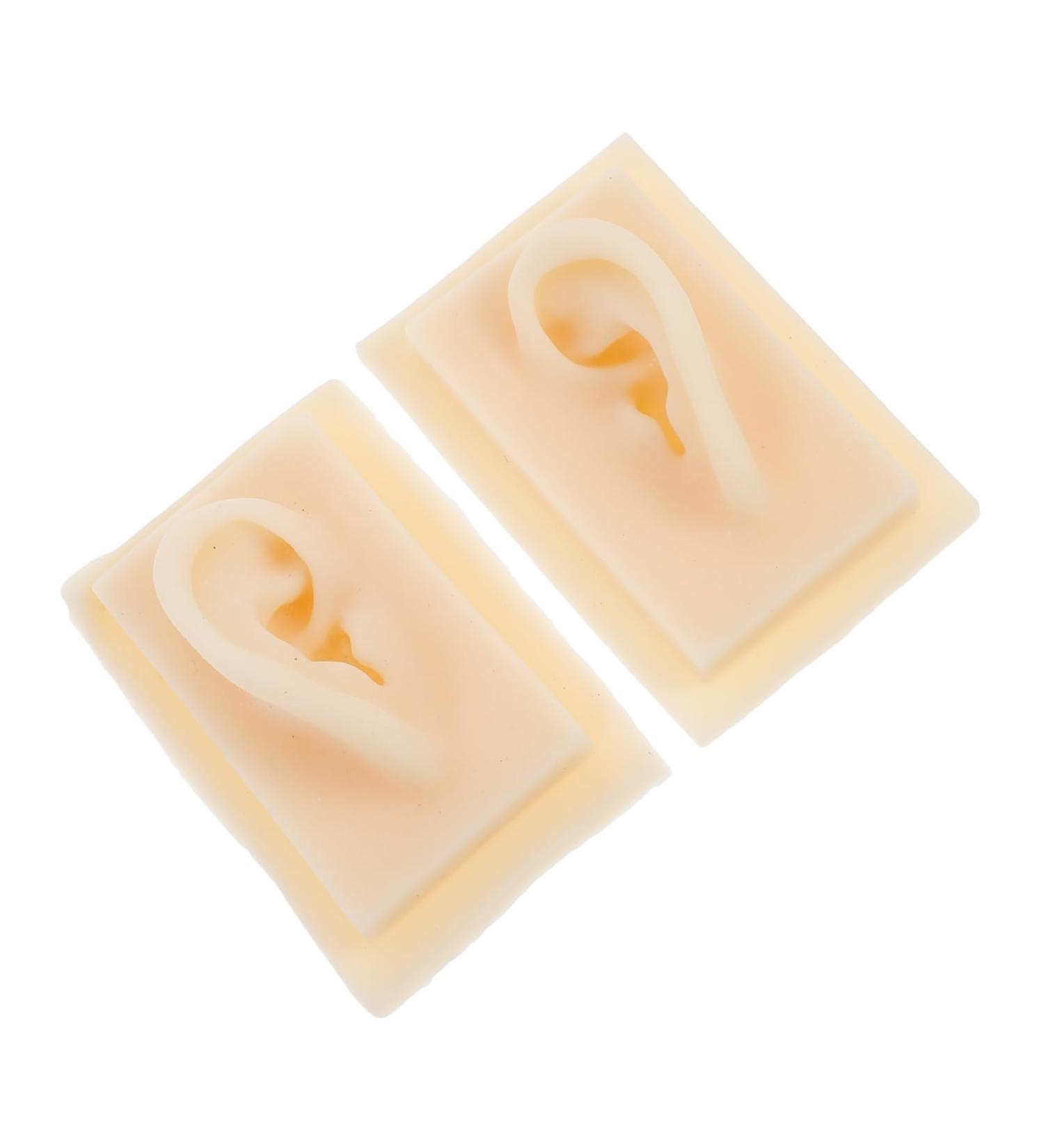 Buy FRCOLOR Ear Model Hearing Amplifiers - Portable Anatomy Display for Teaching & Presentations - Perfect Science Tool for Education - Buy Online on GoSupps.com