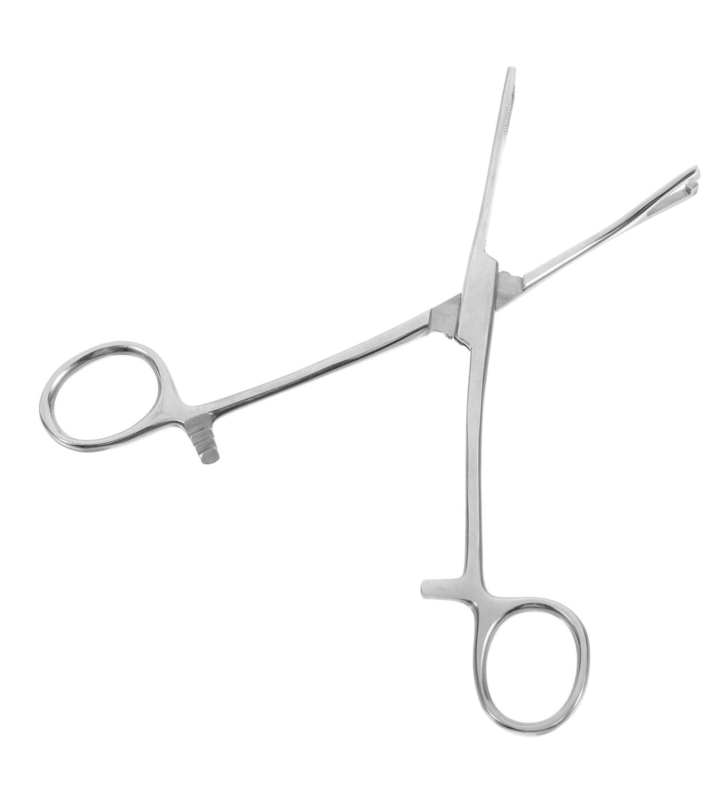 HAPINARY Reptile Feeding Clip Feeding Tools Aquarium Tongs Extra Long Silver Stainless Steel - Buy Online on GoSupps.com