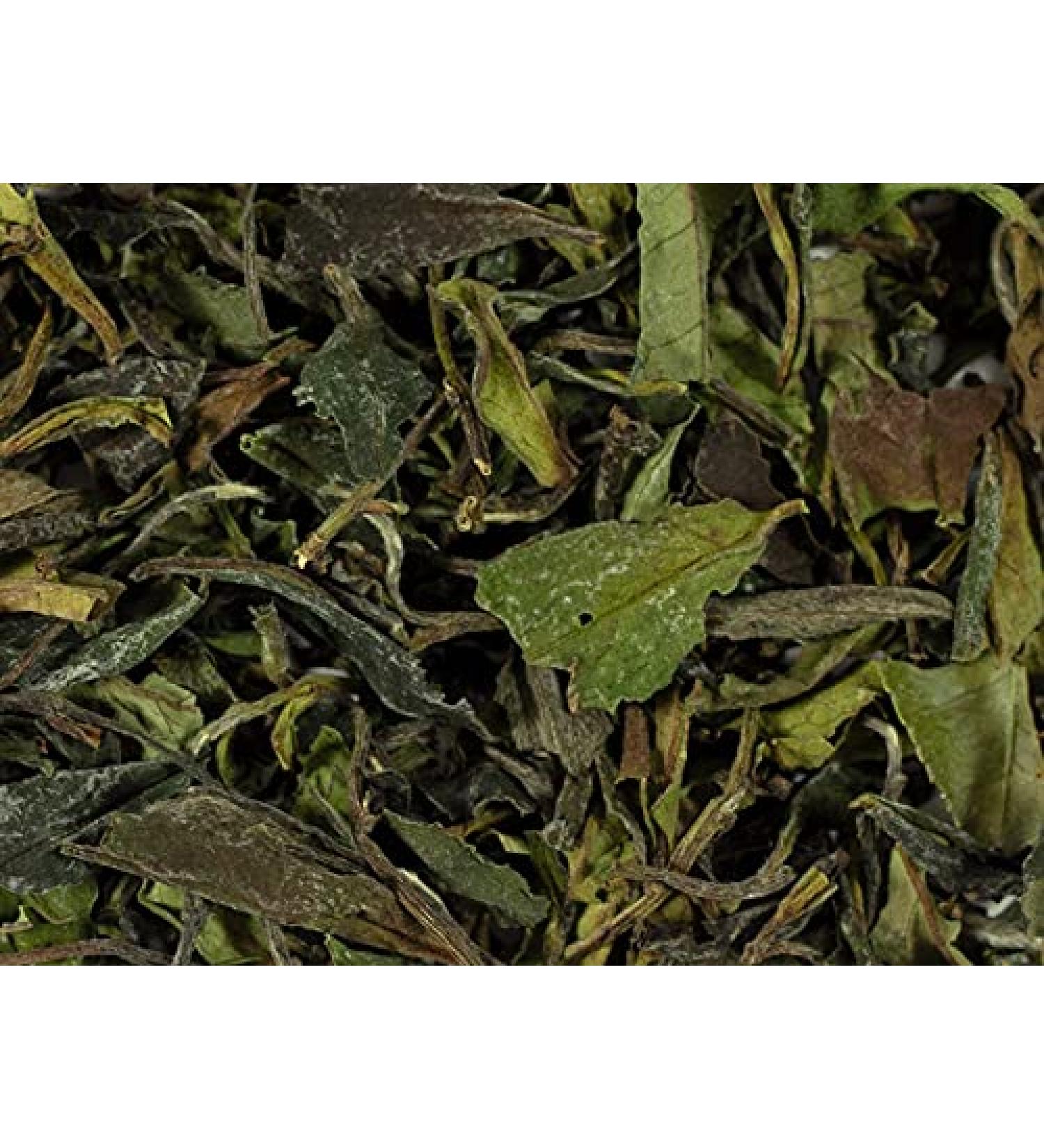 Th blanc bio de Chine k.b.A. Pai Mu Tan Mei Zang DE- KO-006 - 1 kg