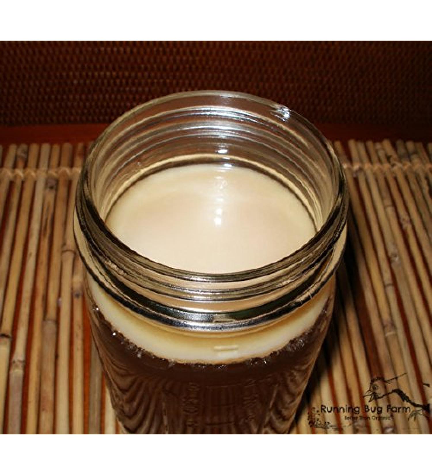 Kombucha Kitchen Real KOMBUCHA CULTURE HUGE SCOBY with Strong STARTER TEA Makes 1 Gallon by Scoby Kombucha