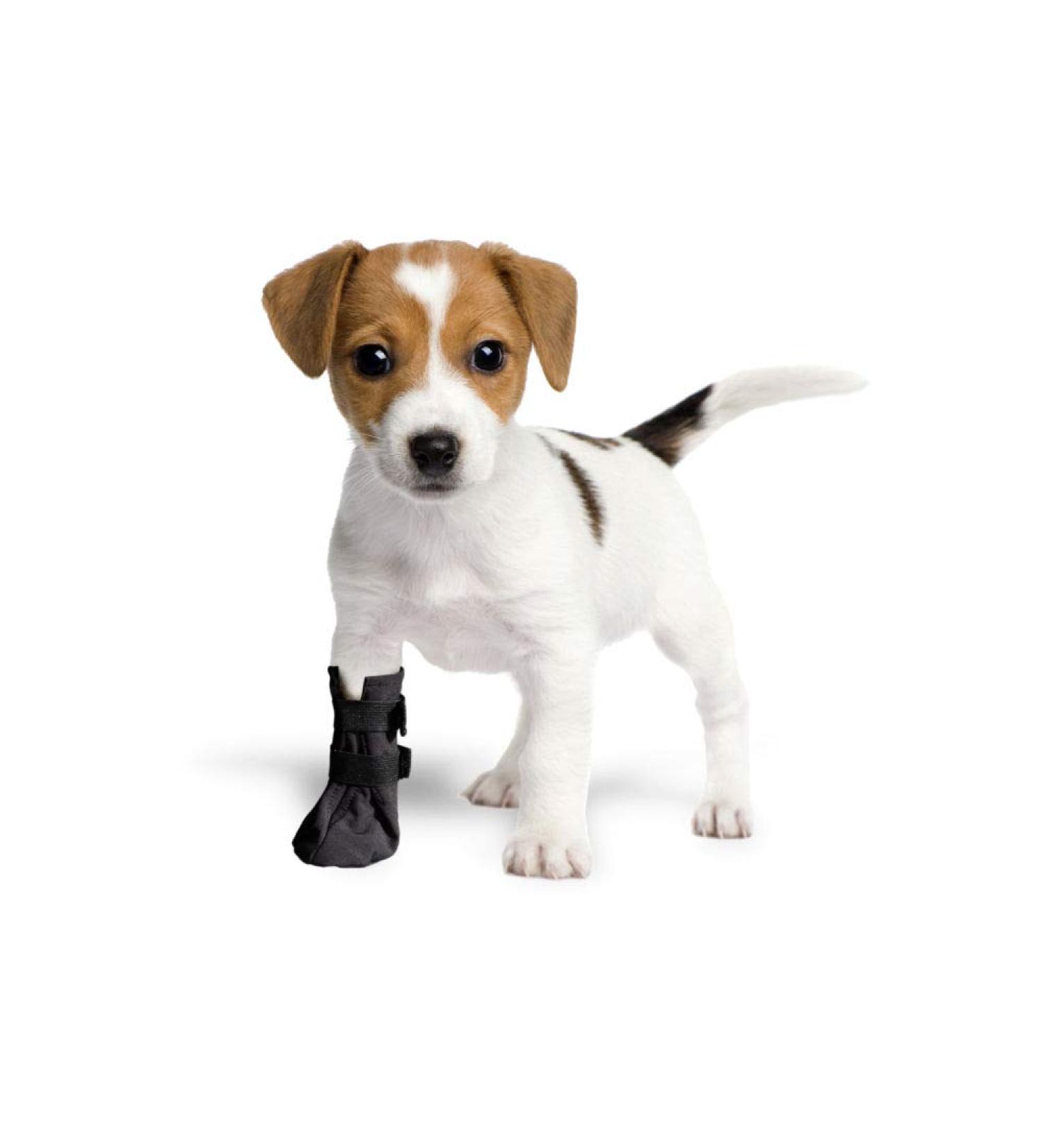 Breathable Protection & Relaxation Socks for Dogs & Cats - 100% Softshell Surgical Covers | Injury Prevention & Licking Control - Black Size 4(L) 8cm (3.1) H 18cm - Buy Online on GoSupps.com