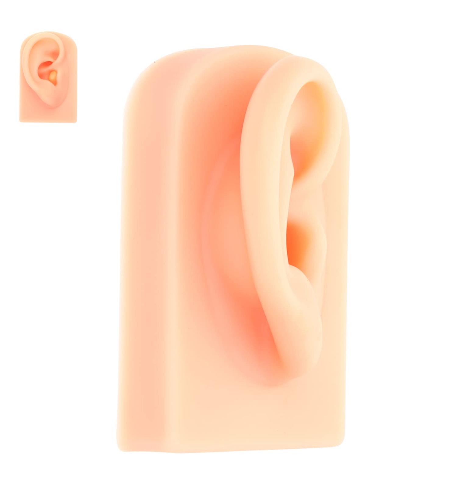 ULTECHNOVO Silicone Ear Model for Practice and Display - Khaki Silicone Human Ear Prosthesis with Perforation - Buy Online on GoSupps.com