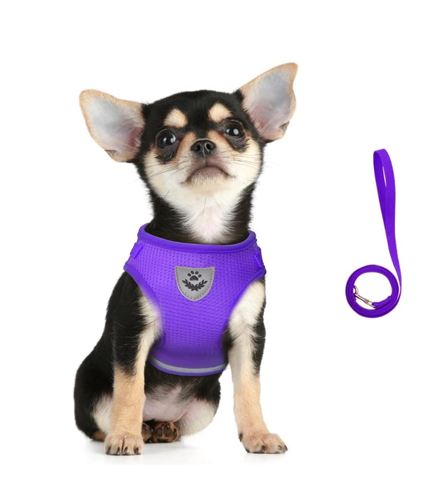 Buy Femax Soft Mesh Dog Harness & Linen Set - Adjustable Reflective Breathable for Puppies & Cats (Chest 35-40 cm) - Perfect for Walking Running & Training - Purple - Buy Online on GoSupps.com