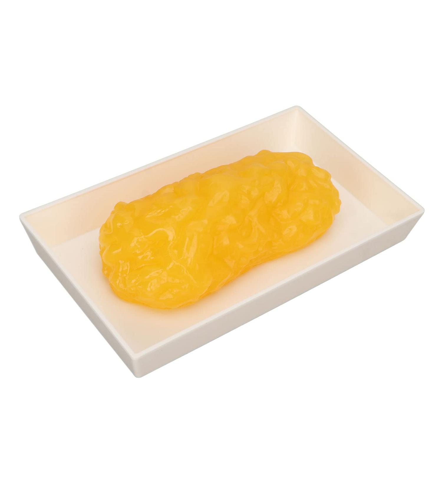 Human Adipose Tissue Model Safe Demonstration Smooth Body Fat Replication Portable Gym For Nutritionist - Buy Online on GoSupps.com