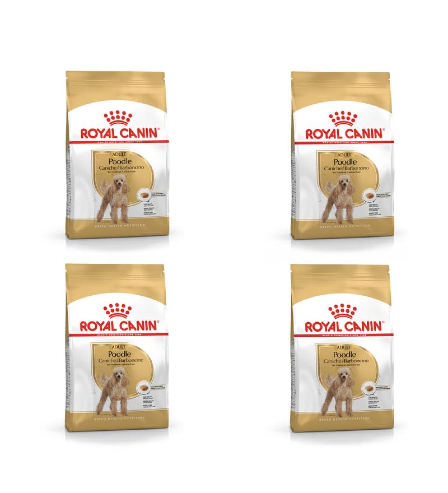Royal Canin Poodle Adult | Double Pack | 4 x 500 g | Dry food for Adult Poodle | to Support Coat and Muscle Tone | for Dogs from 10 Months - Buy Online on GoSupps.com