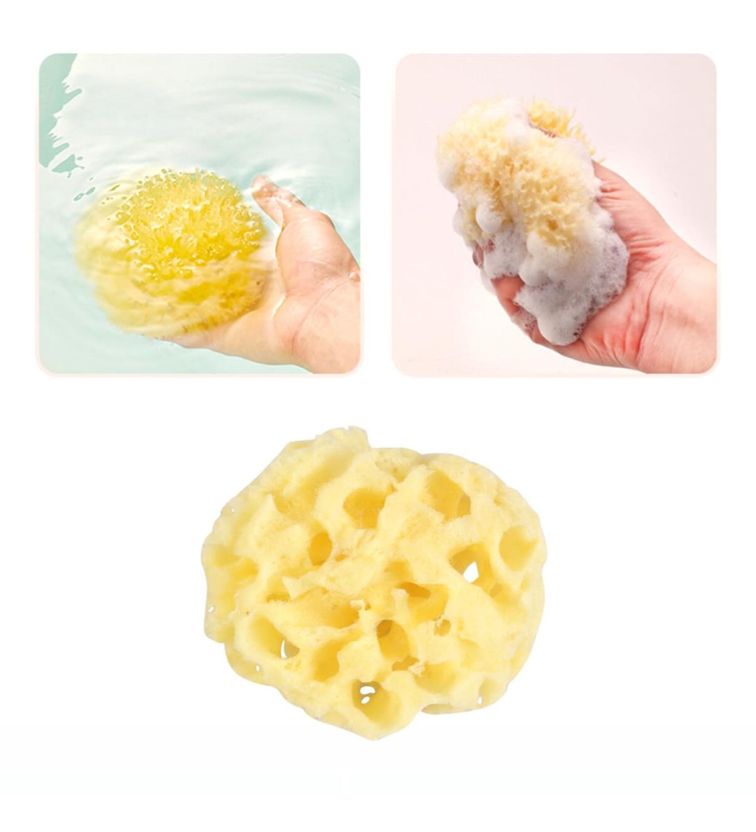 Beatifufu 1pc for Bathing Shower Sponge Natural Bath Sponge Sea Sponge for Bathing Natural Sponge Greek Natural Seaweed Sponge Body Sponge Baby Mesh Ball Aldult - Buy Online on GoSupps.com