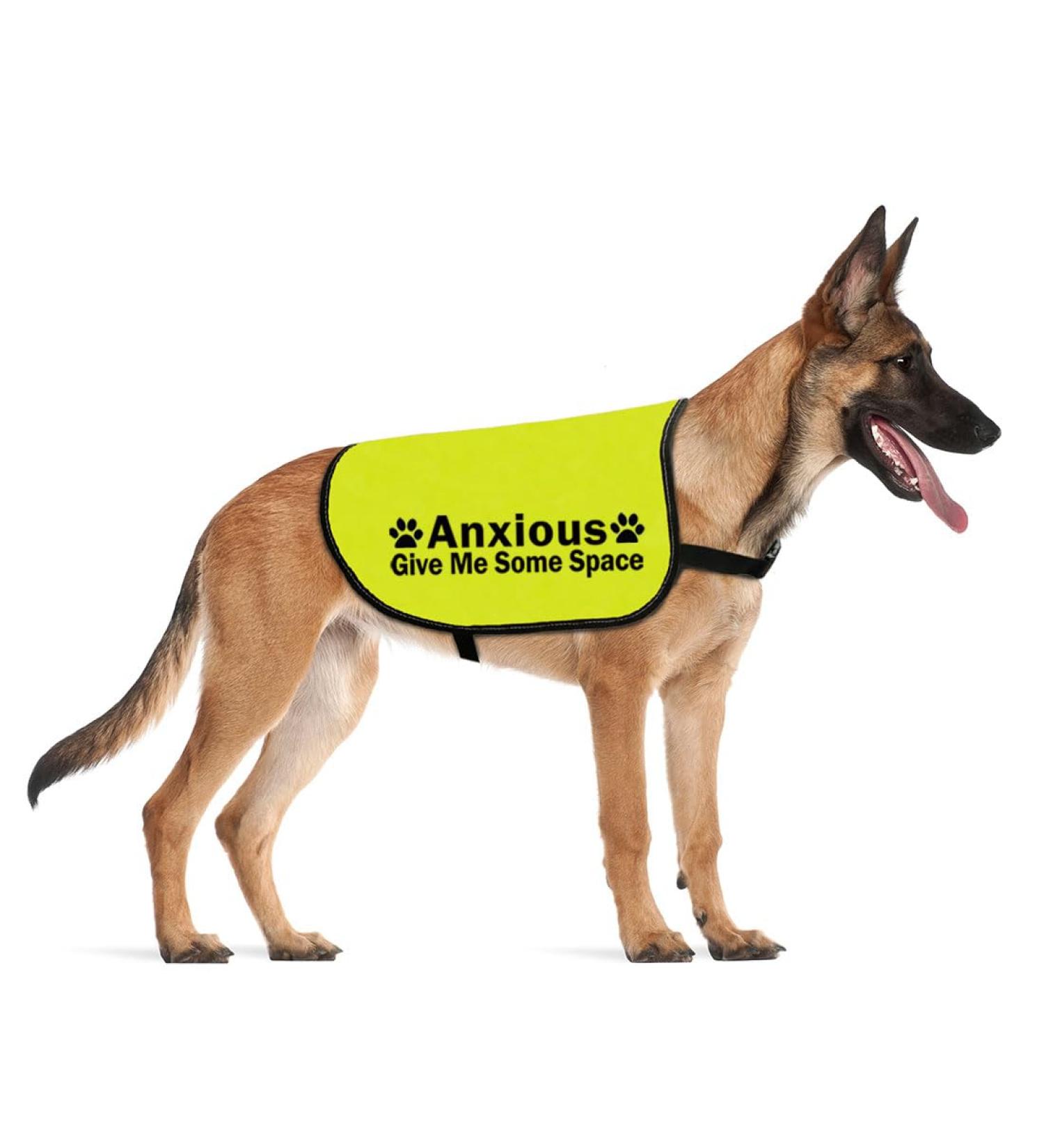 Nervous Anxious Dog Give Me Some Space Dog Jacket Vest Alert Slogan Warning Vest Rescue Dogs Anxious Dogs Gift (give space Anxious Large) give space Anxious L EU - Buy Online on GoSupps.com
