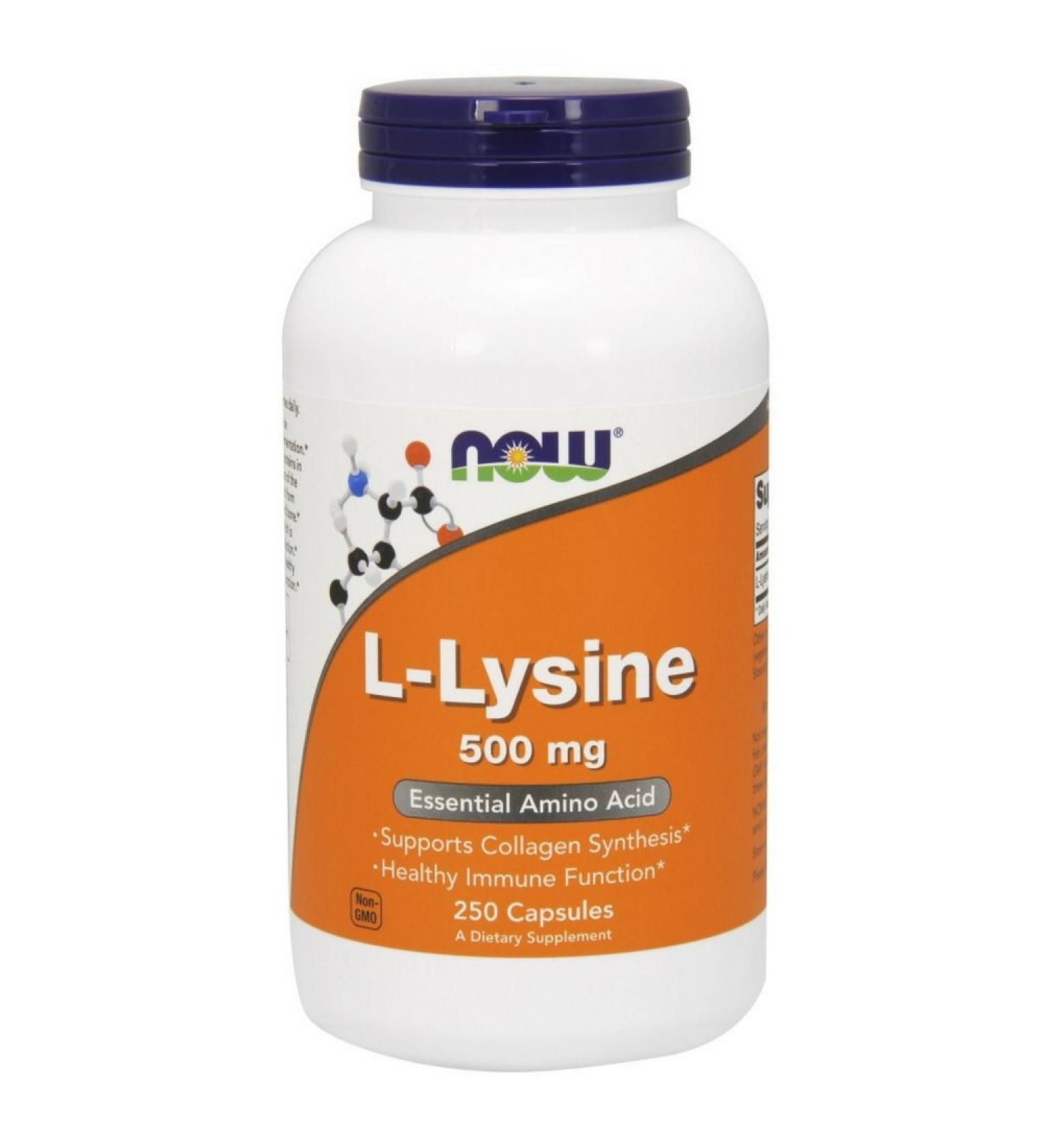 NOW L-Lysine 500mg | 250 Capsules | Premium Quality | Boost Immunity | Support Skin Health | Dietary Supplement - Buy Online on GoSupps.com