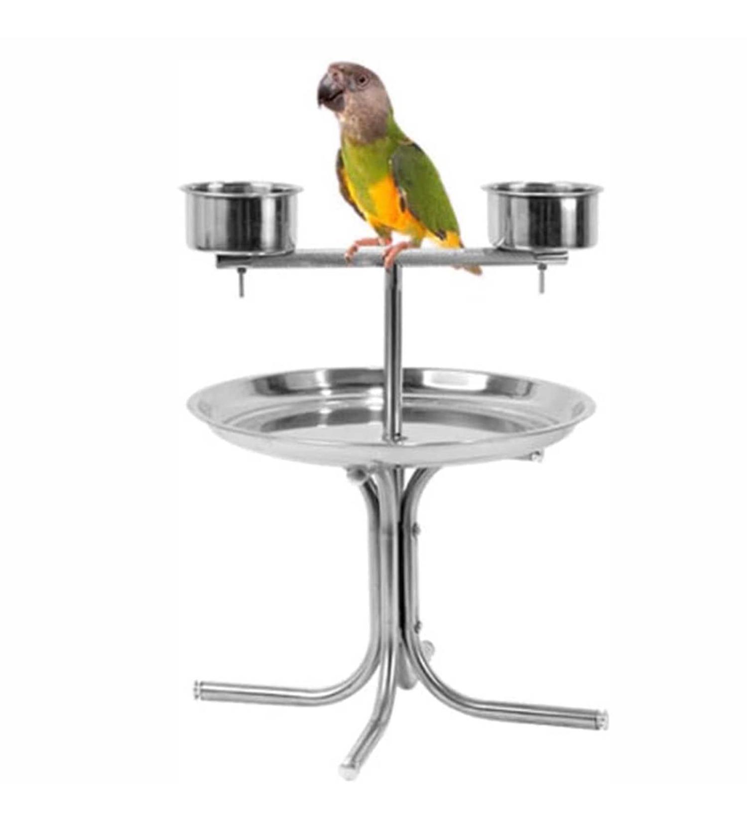 Stainless Steel Bird Cage Stand for Medium and Large Parrots - Perching Bird Cage Parrot Holder Disc Display Stand for Macaws Canaries Lovebirds - High End Bird Cage () - Buy Online on GoSupps.com