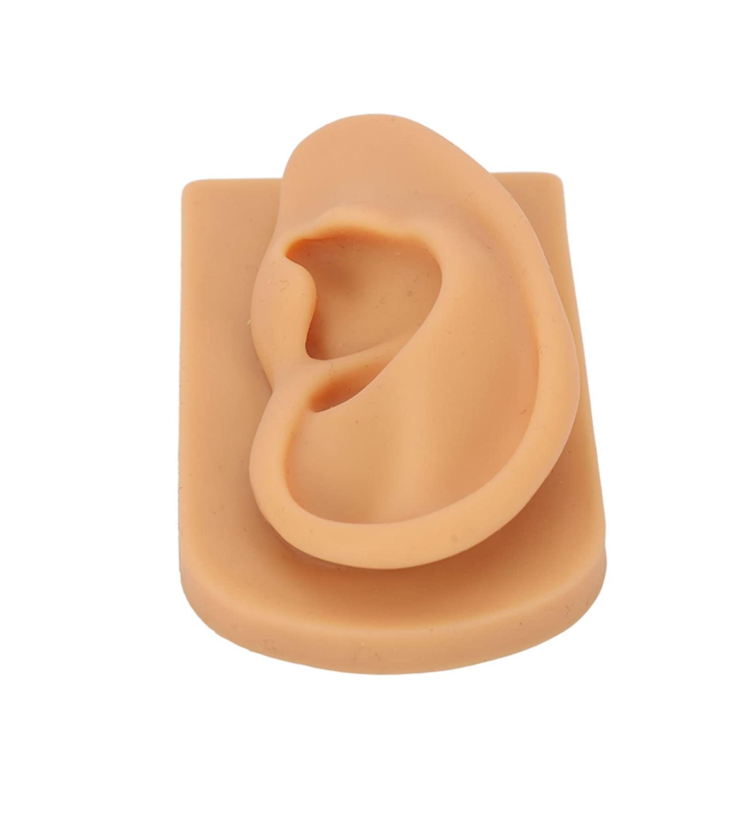Waterproof Silicone Right Ear Model for Displaying Hearing Aid and Acupuncture Education - Buy Online on GoSupps.com