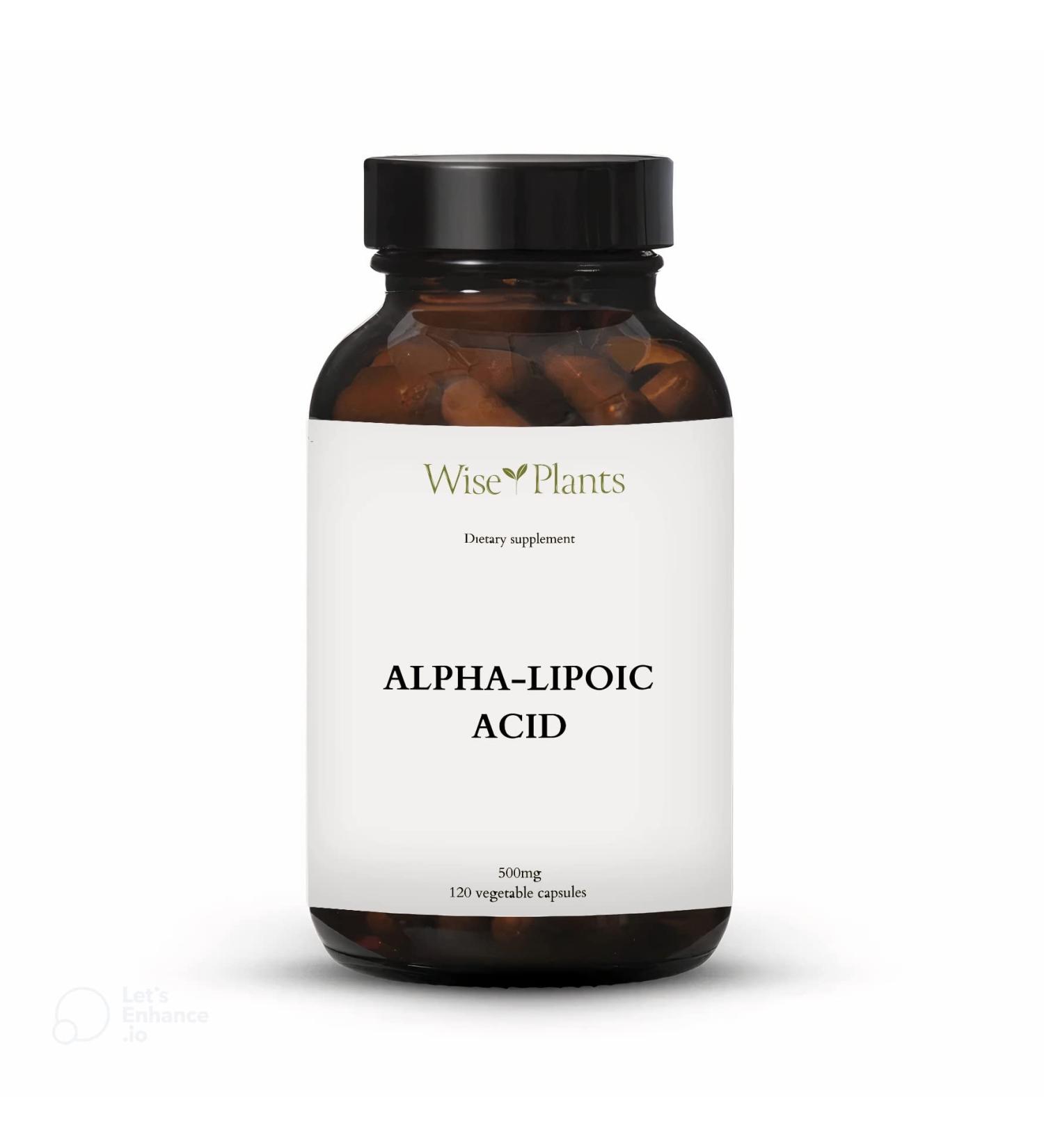 Alpha-Lipoic Acid 500mg - Non-GMO - Boost Energy & Mitochondria Support - 120 Servings (4 Months Supply) - International Shipping Available - Buy Online on GoSupps.com