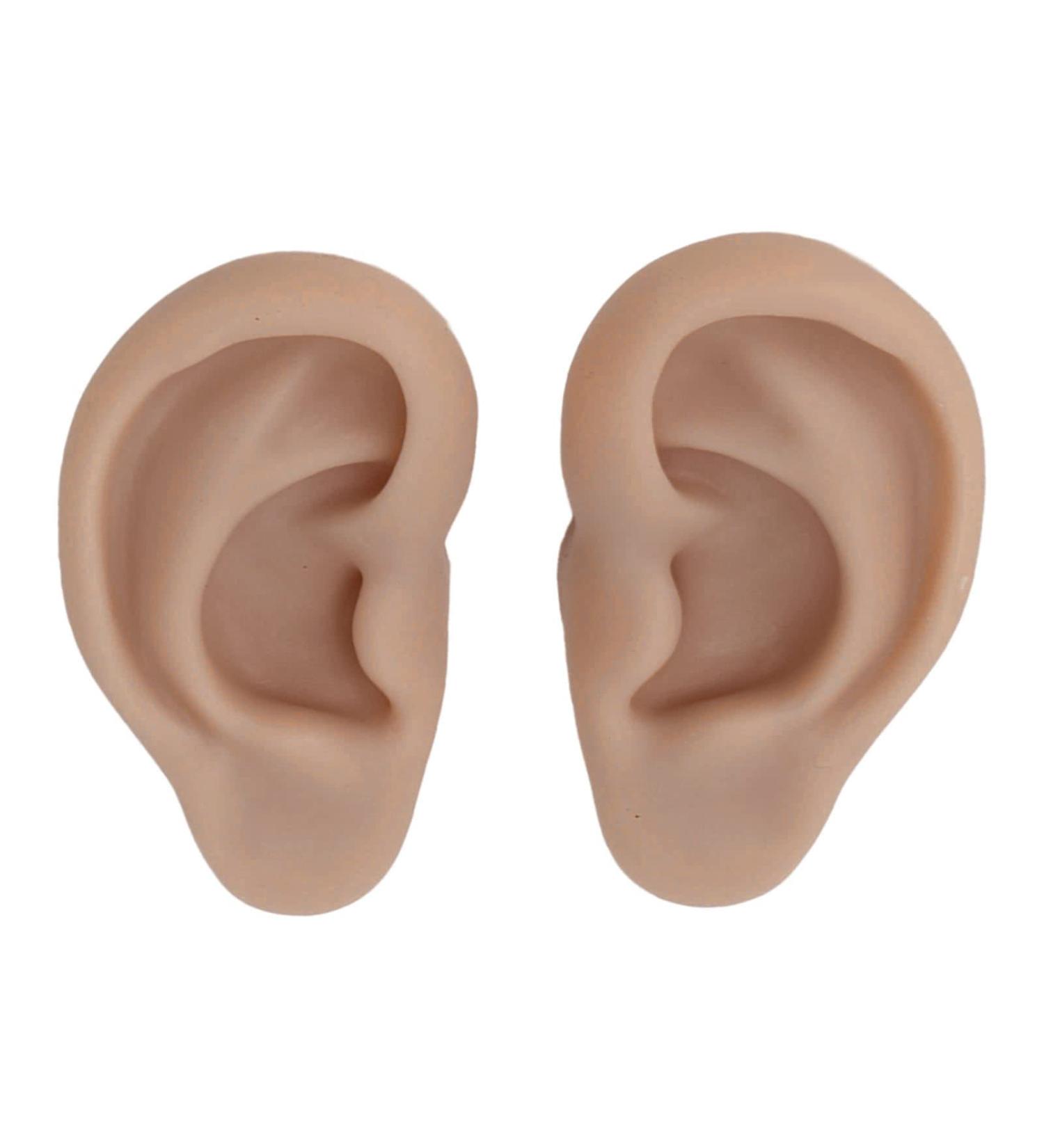 Realistic Fake Ear Model for Ear Piercing - Reusable Soft Silicone Simulation (Dark Skin Color) - Buy Online on GoSupps.com