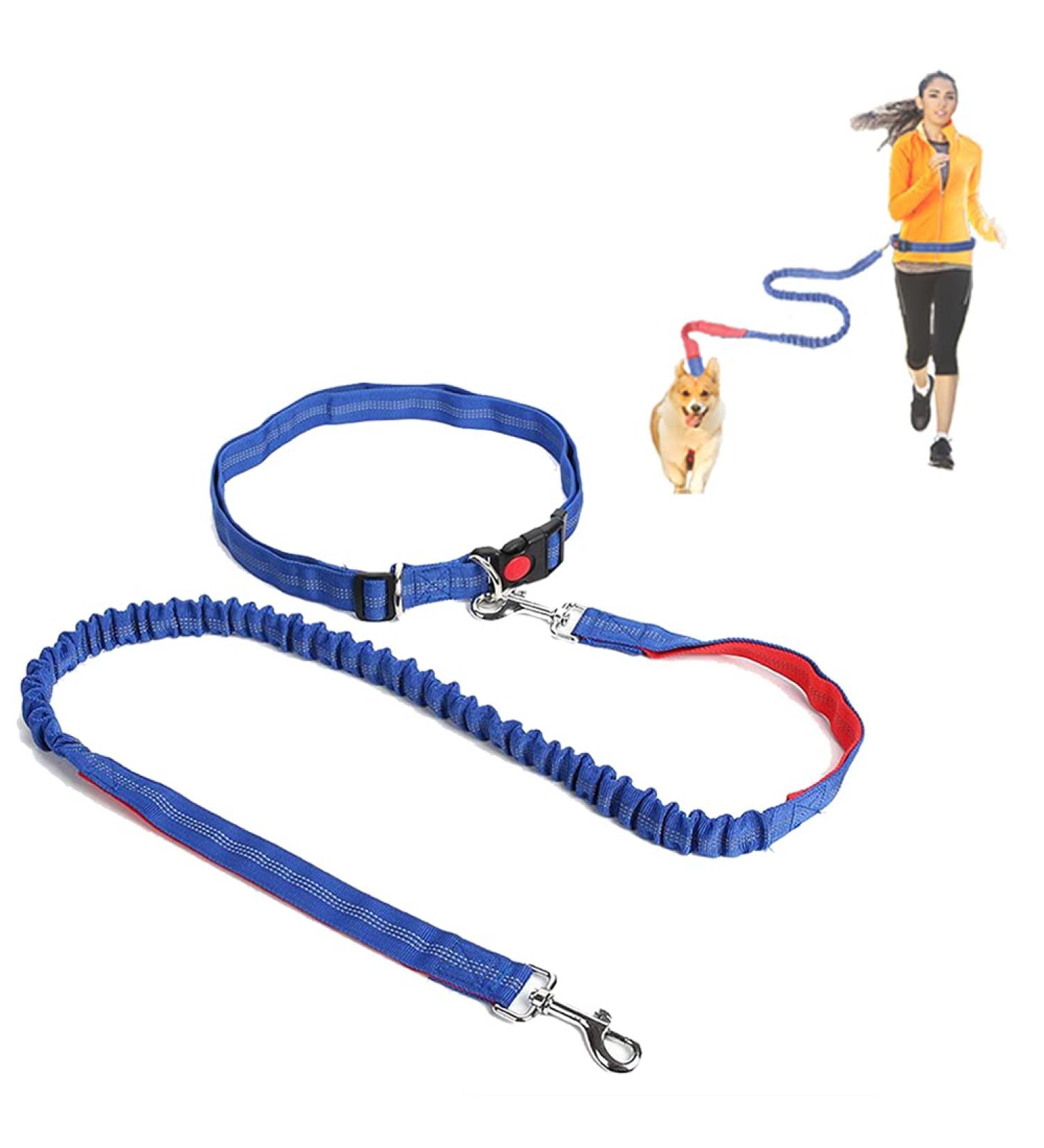 Hands Free Dog Running Leash Dog Walking Rope Lead Belt Adjustable Jogging Dog Waist Belt Lead Elastic Bungee And Reflective Stripe Rope Explosion-Proof Elasticated Nylon Pet Dog Hiking Traction Lead Blue with red - Buy Online on GoSupps.com