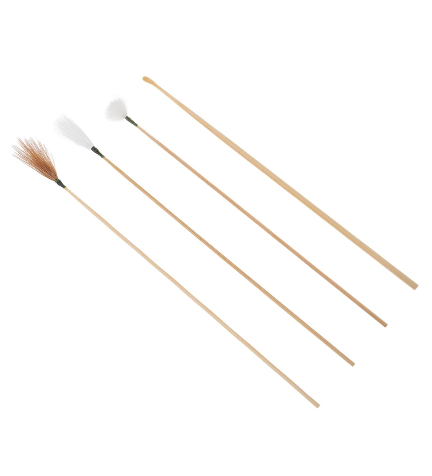 FRCOLOR 1set Ear Wax Cleaner Kit of Ear Cleaning Tools for Adults Itch Relief for Home Use - Buy Online on GoSupps.com