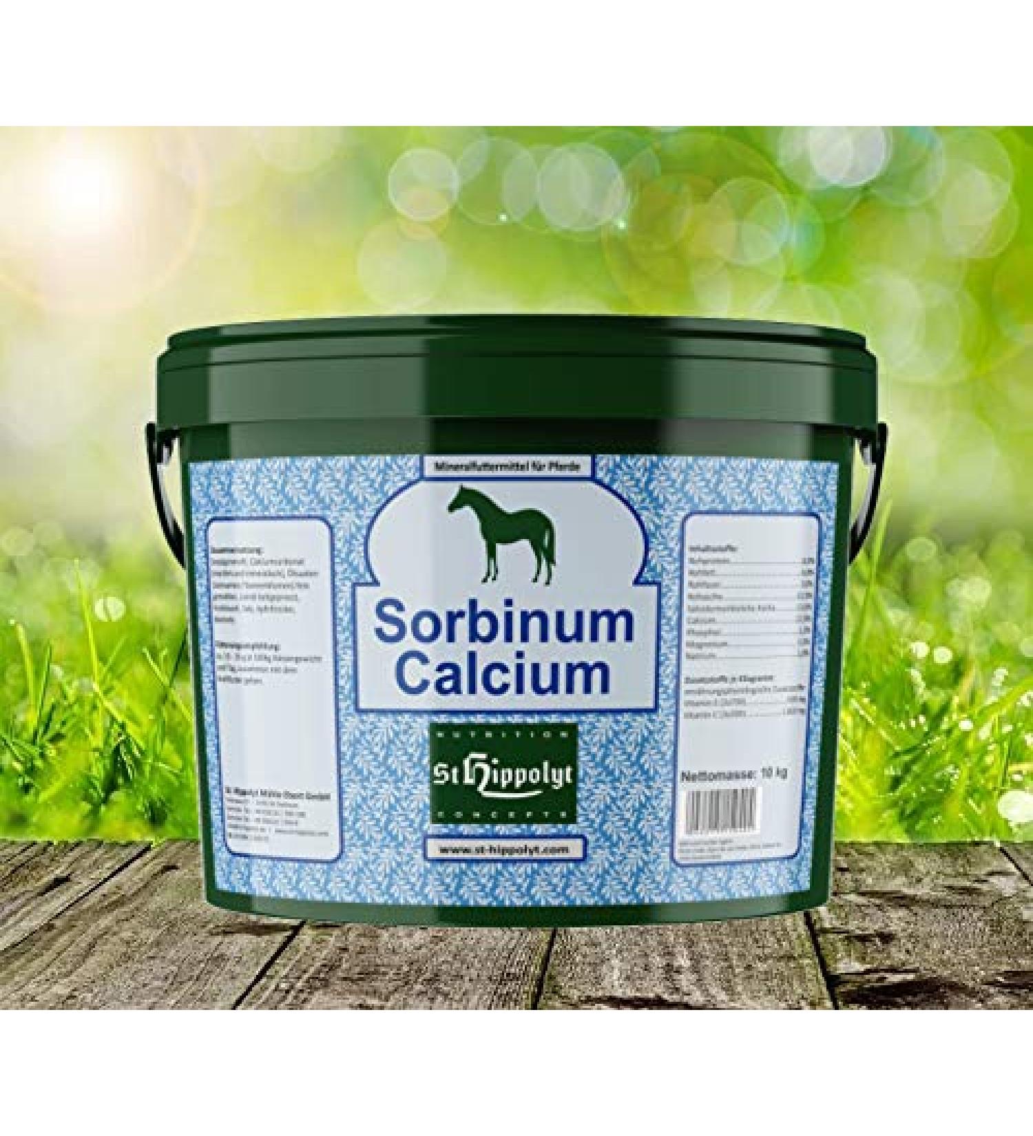 St.Hippolyt Sorbinum Calcium 10 kg