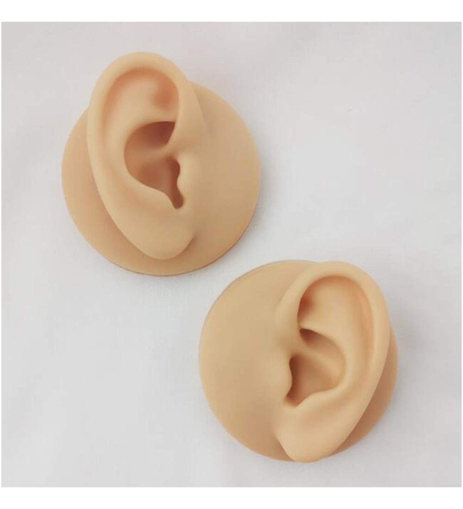 Silicone Ear Model - Simulation Human Ear Model - for Human Body Piercing Acupuncture and Moxibustion Ear Practice Teaching Earrings Earrings Show - Buy Online on GoSupps.com