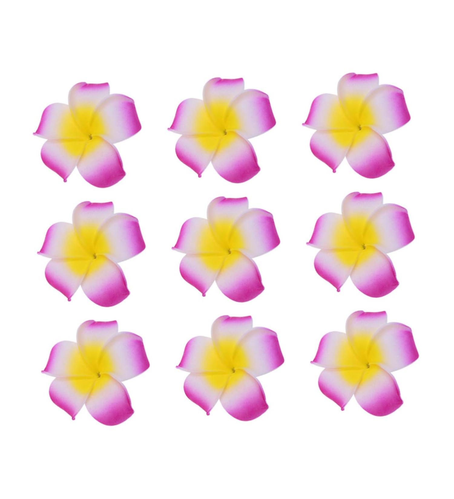 Angoily Hair Accessory for Girls Hair Clips for Girls Barrettes for Girls Hibiscus Flower Hair Clips Summer Hair Clips Accesorios Para Plumeria Hair Clip Hair Accessories The Flowers - Buy Online on GoSupps.com