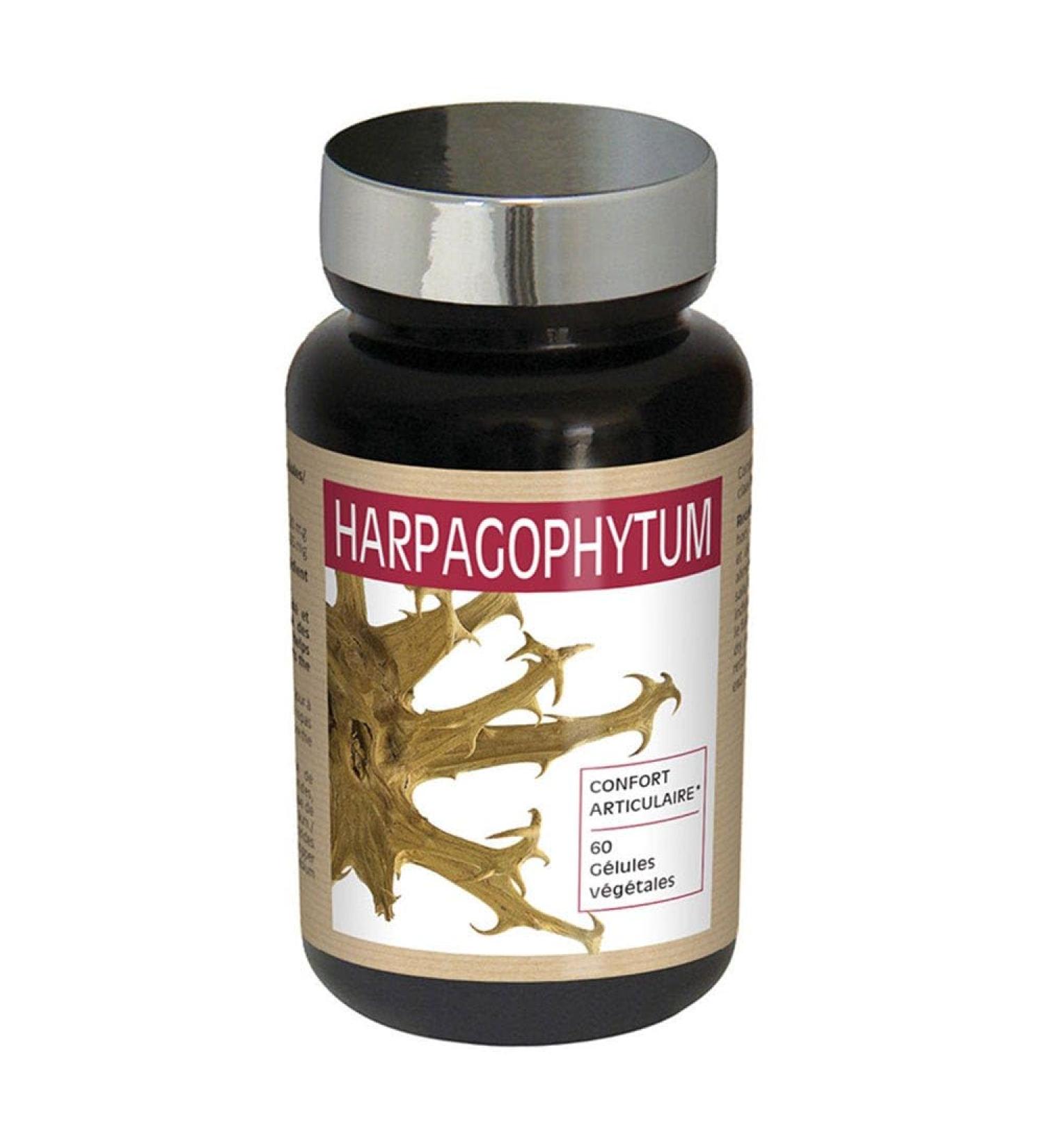 NUTRI EXPERT - Harpagophytum - Promotes Joint Mobility - Improves Flexibility of Joints and Tendons - Relieves Joint Pain - Vegan - 60 Capsules