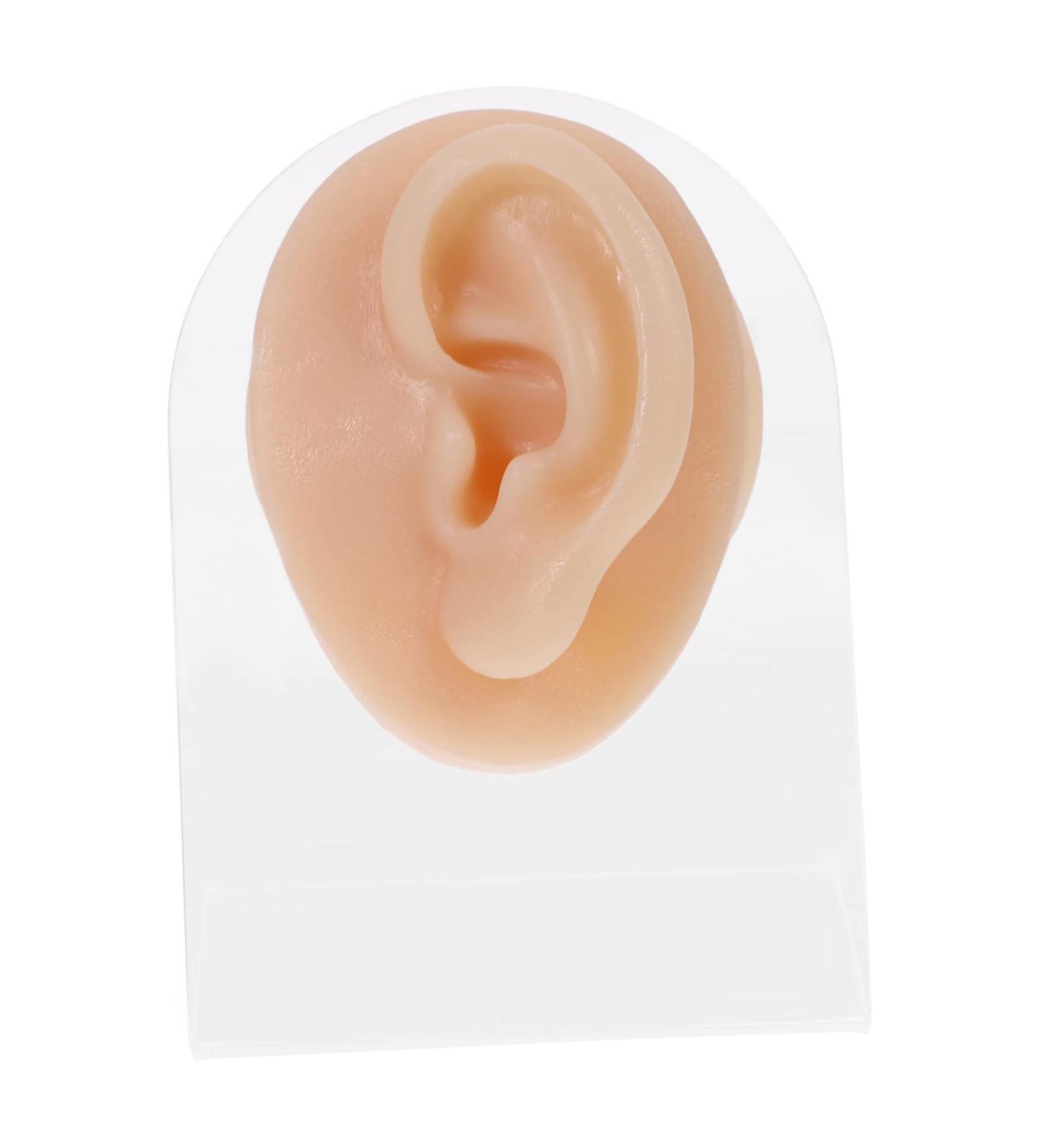 Piercing Tools Simulation Left Ear Model Display Prosthesis Mold Silica Gel Silicone Earring Mold for Body Art - Buy Online on GoSupps.com