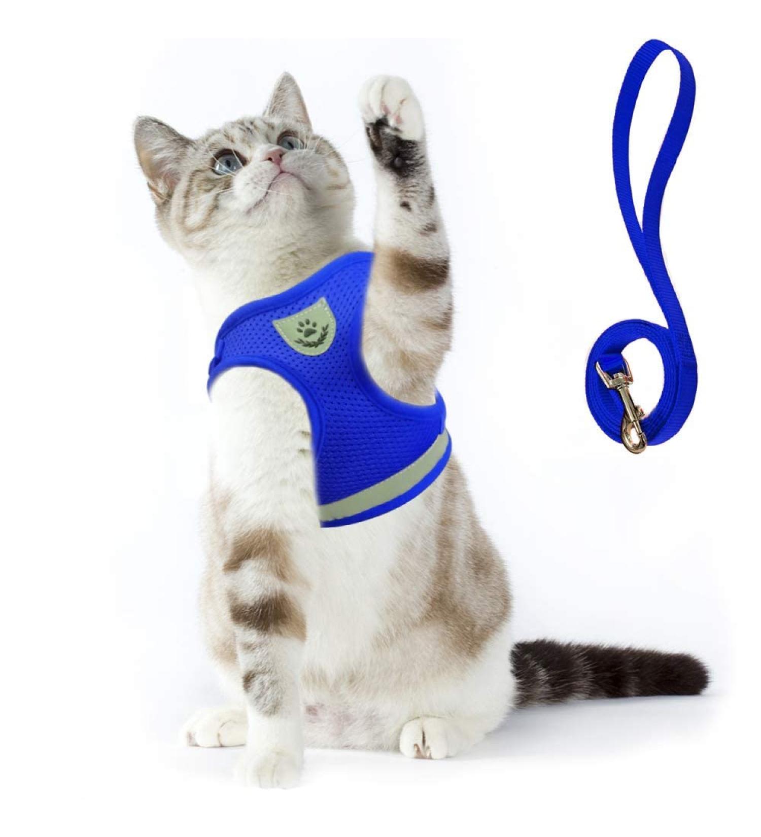 Supet Cat Dishes & Soft Cat Vest with Leash for Kittens & Small Dogs - Blue Size L (38-43 cm) - Buy Online on GoSupps.com