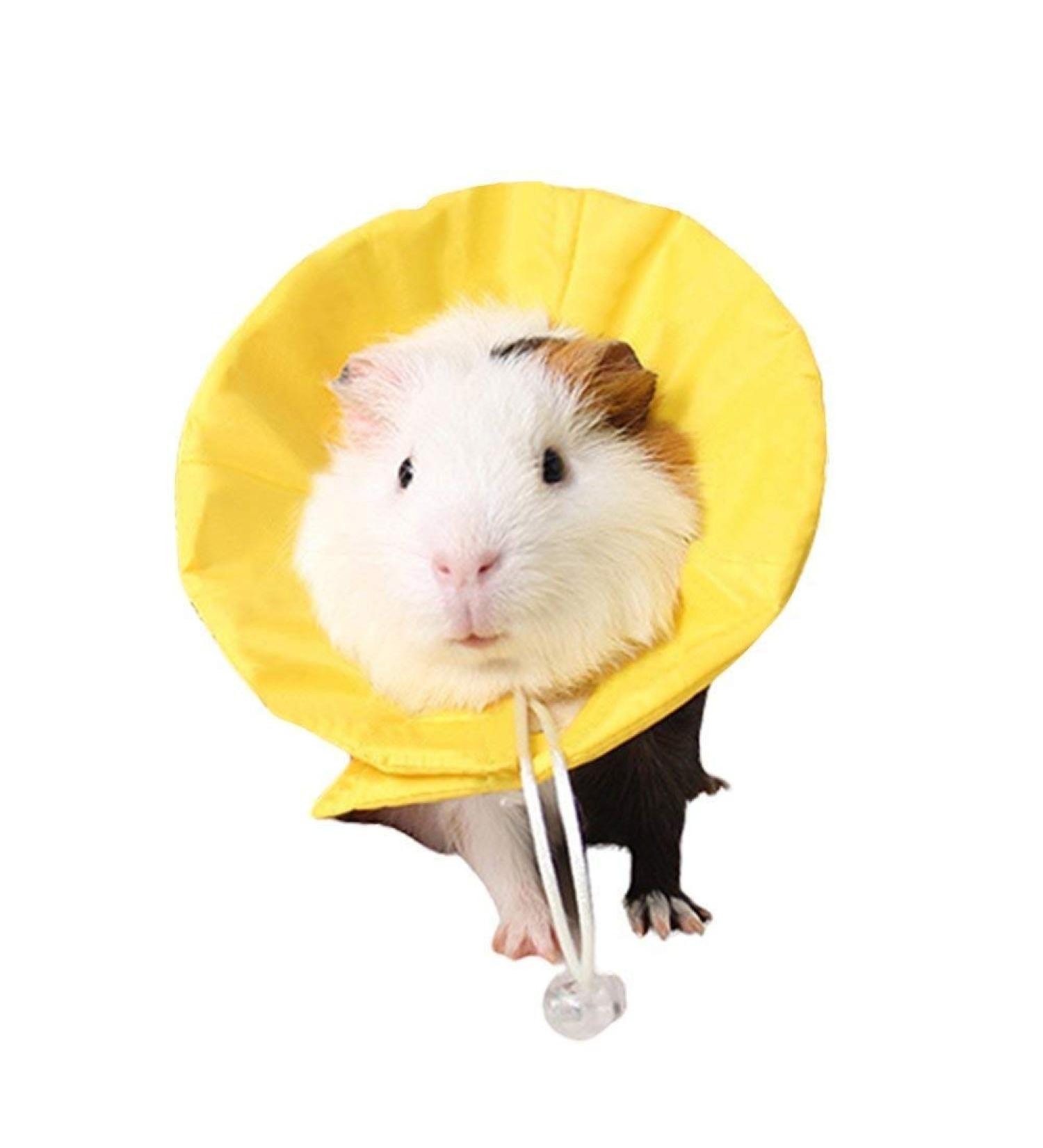 NashaFeiLi Elizabethan Pet Collar for Hamsters & Chinchillas | Adjustable Comfortable - Size M | Yellow & Pink Options - Buy Online on GoSupps.com