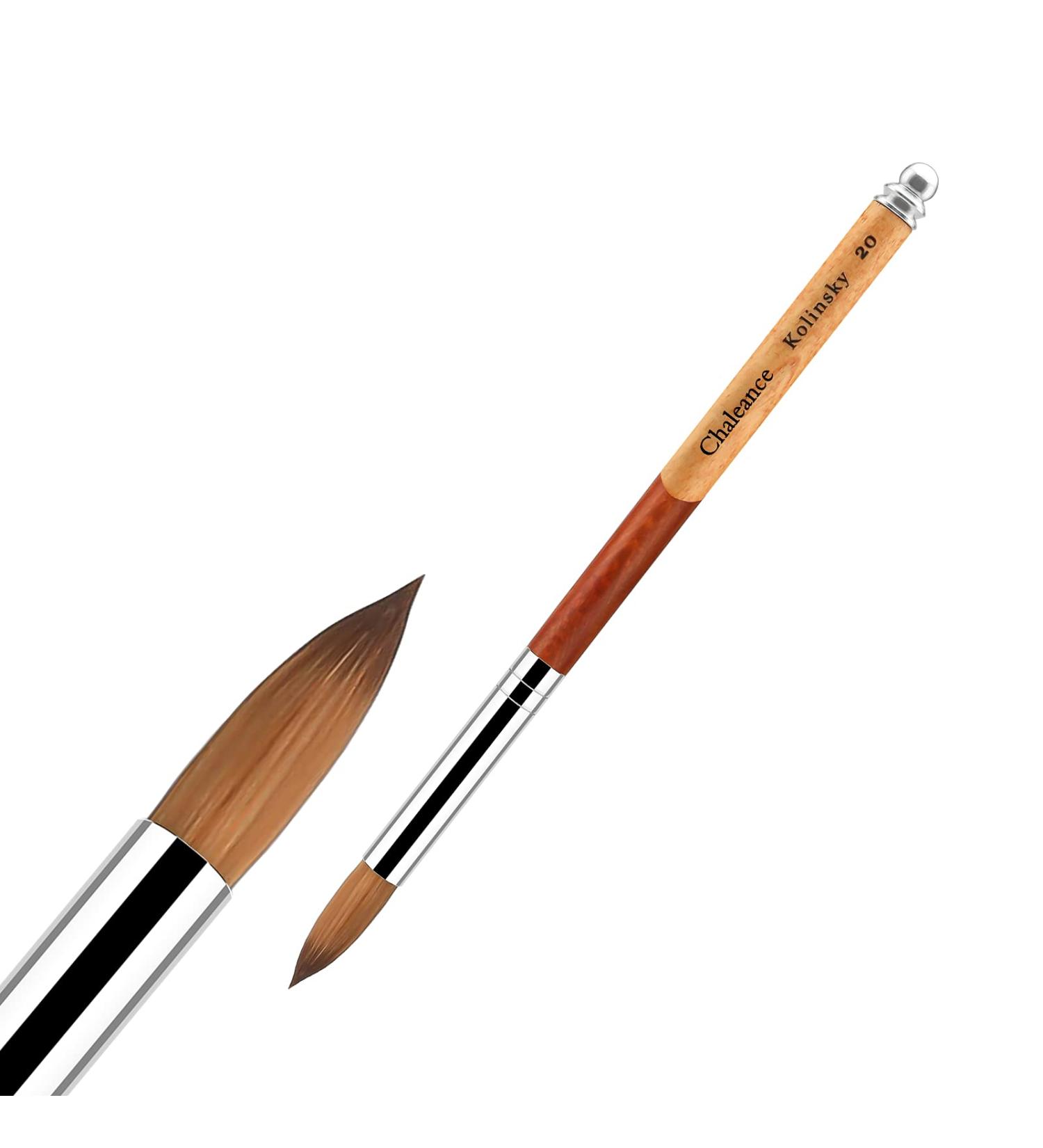 Premium #20 Sable Kolinsky Acrylic Nail Brush - Perfect for Nail Art & Manicure Tools | Zobelhaar Wooden Nail Polish Brush - Buy Online on GoSupps.com