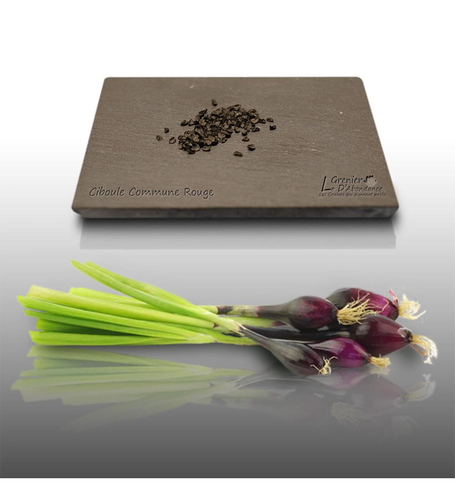 Red onion 100 korrels aromas to sow allium fistulosum - Buy Online on GoSupps.com