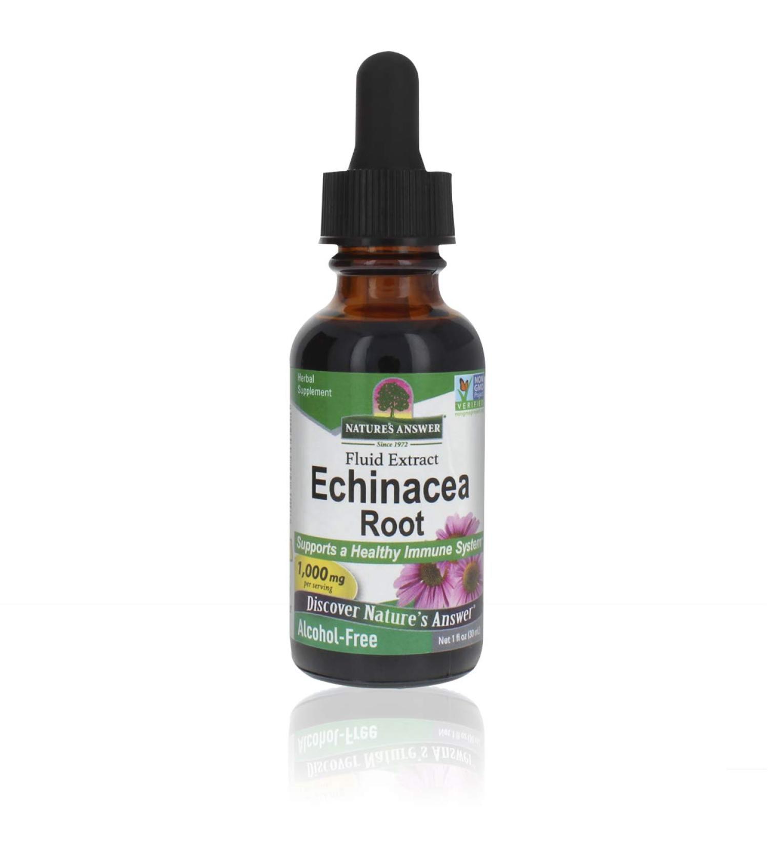 Nature's Answer Echinacea Alcohol-Free Extract - 1 Fl Oz | Natural Immune Booster & Wellness Support - Buy Online on GoSupps.com