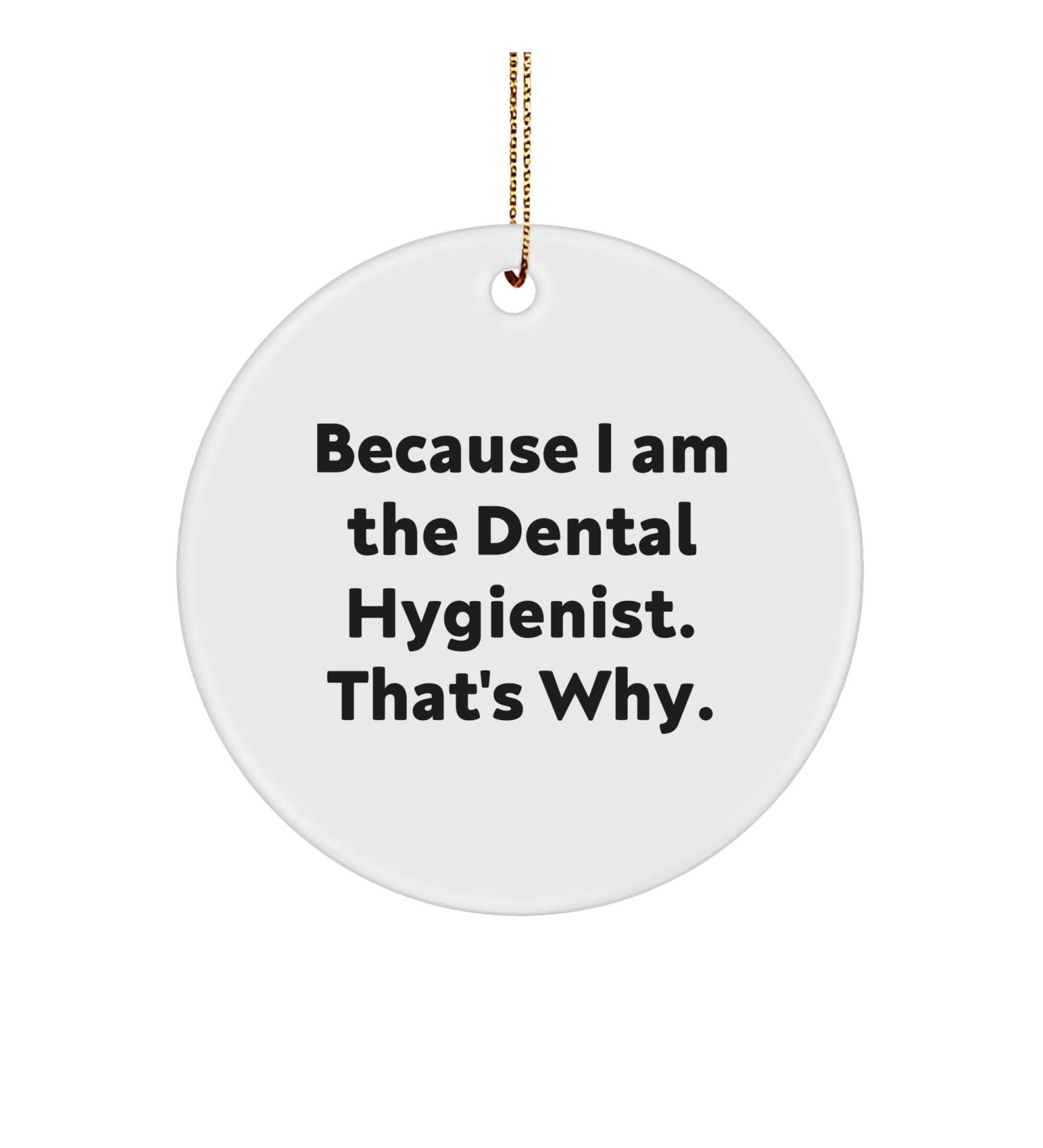 Because I Am The Dental Hygienist That's Why. A Unique Christmas Unique Gift for Dental Hygienist Circle Ornament Gifts from Friends to Dental Hygienist