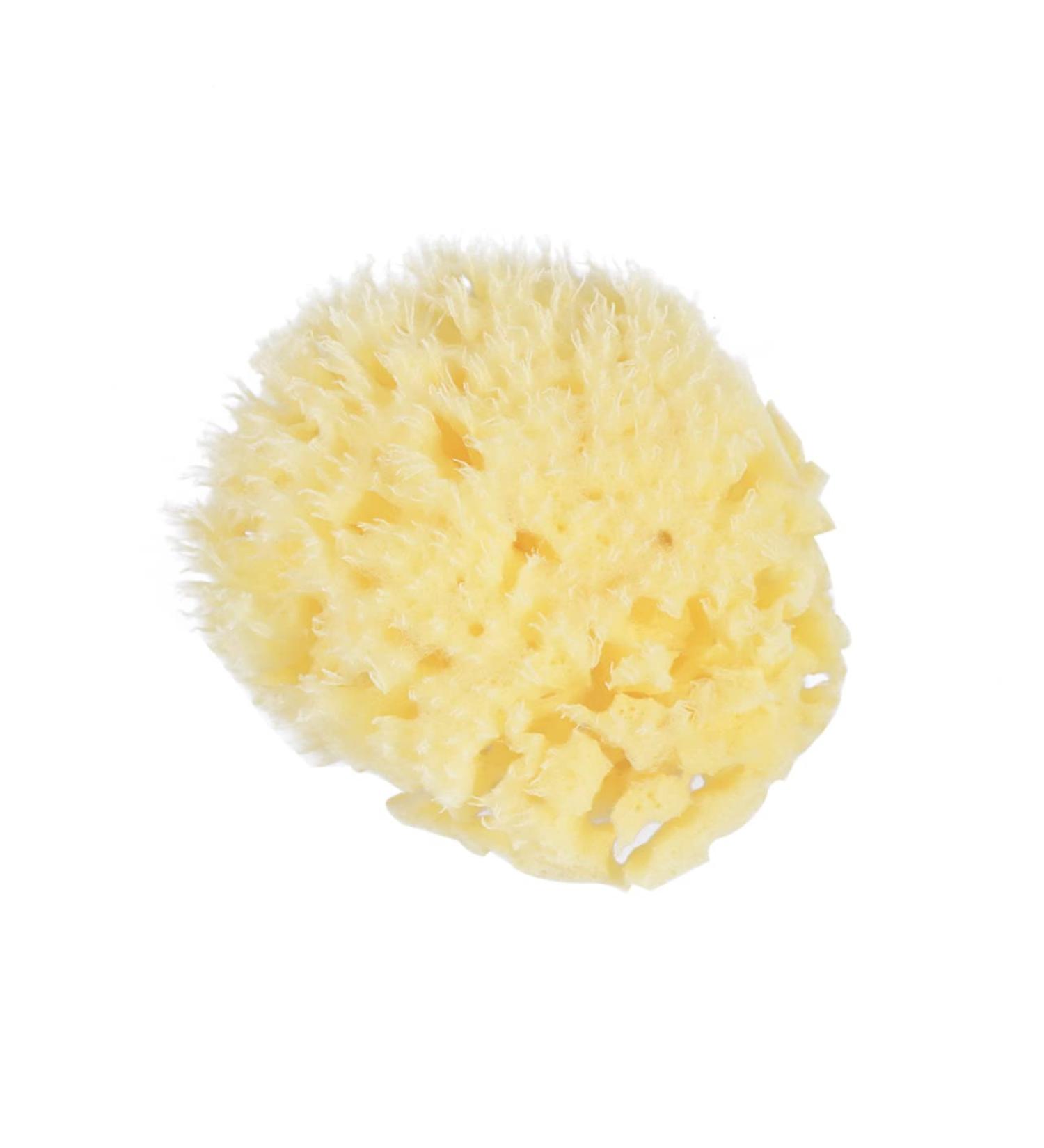 Beavorty sponges for Bathing Honeycomb Sponge Natural Sponge Bath Shower Sponge Facial Scrubber face Sponge Bath Scrubber Shower loufah Sponge Bath Sponge Compression Accessories Baby - Buy Online on GoSupps.com