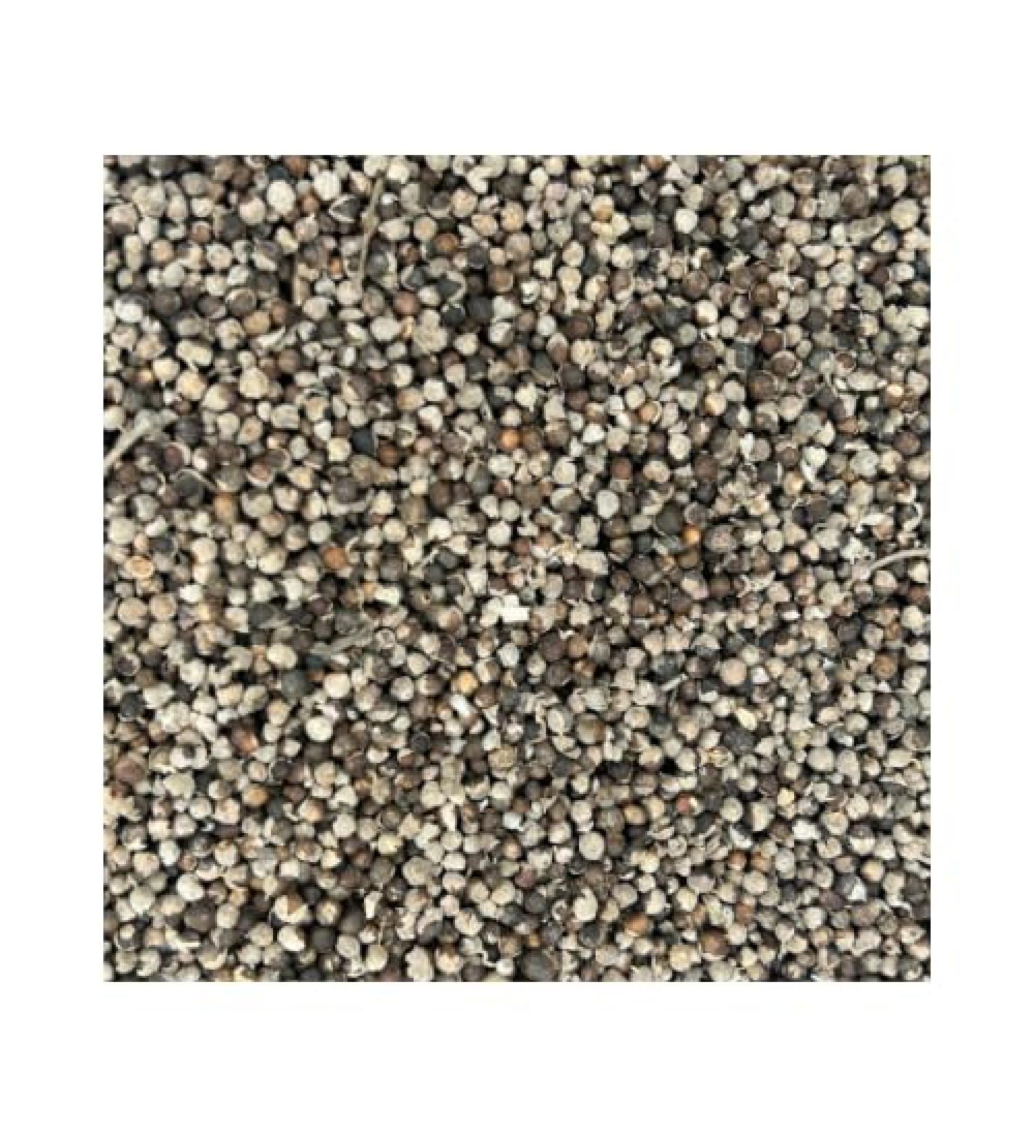 Chaste Berry Whole (114 G) - Buy Online on GoSupps.com