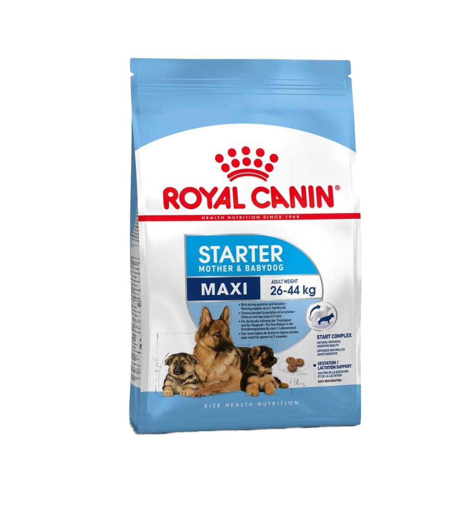 Royal Canin Maxi Starter Dog Food 15kg - Buy Online on GoSupps.com