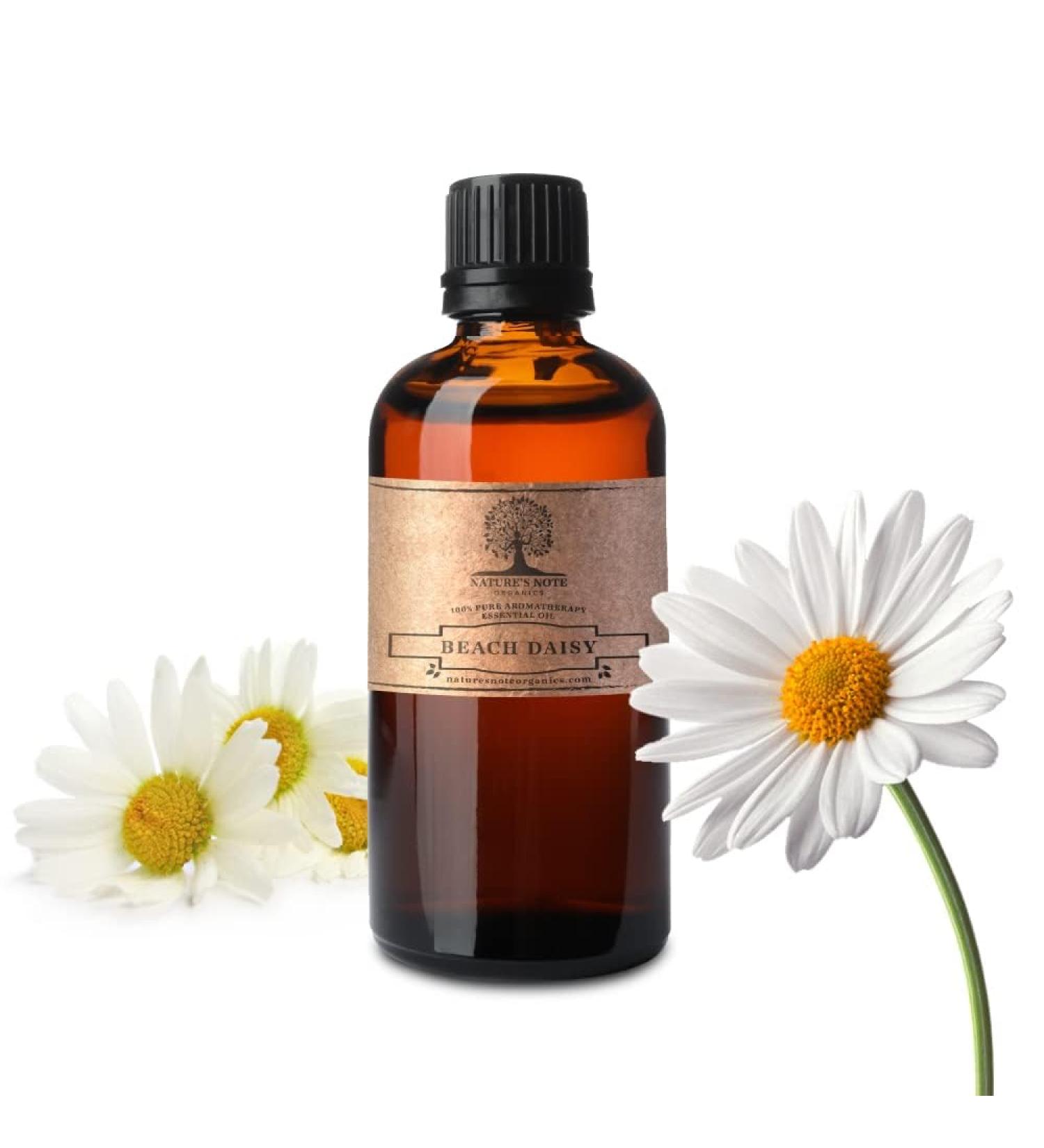 Beach Daisy Essential Oil - 100% Pure Aromatherapy Grade Essential Oil by Nature's Note Organics - 1 Fl Oz Beach Daisy 1 Fl Oz (Pack of 1) - Buy Online on GoSupps.com