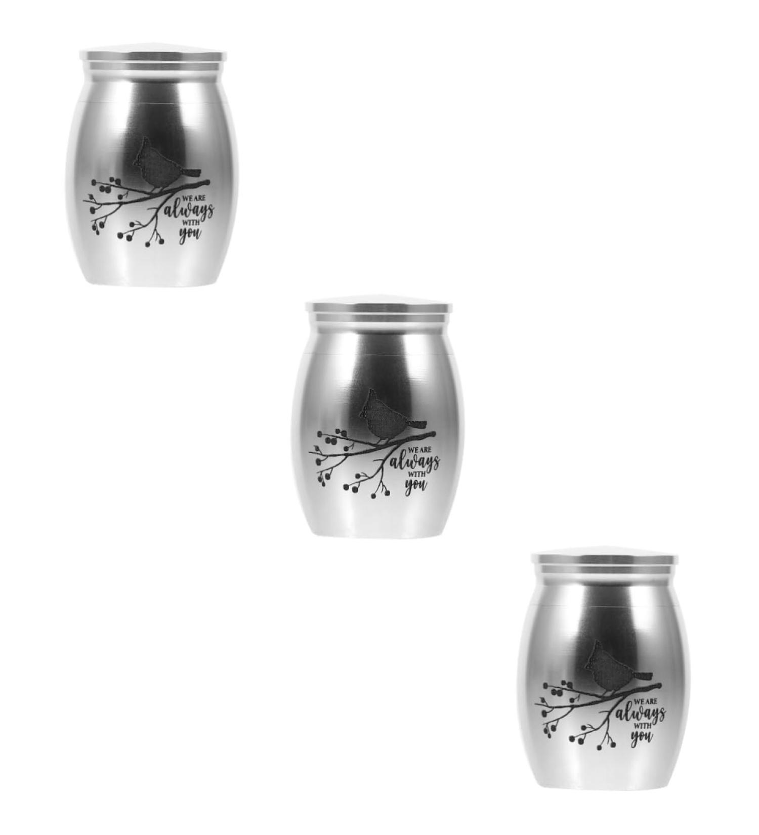 BESPORTBLE 3pcs Parrot Urn Pet Small Urns for Ashes Dog Urns for Ashes Cat Urns for Ashes Stainless Steel 4.00X3.00X3.00CMx3pcs Silverx3pcs - Buy Online on GoSupps.com