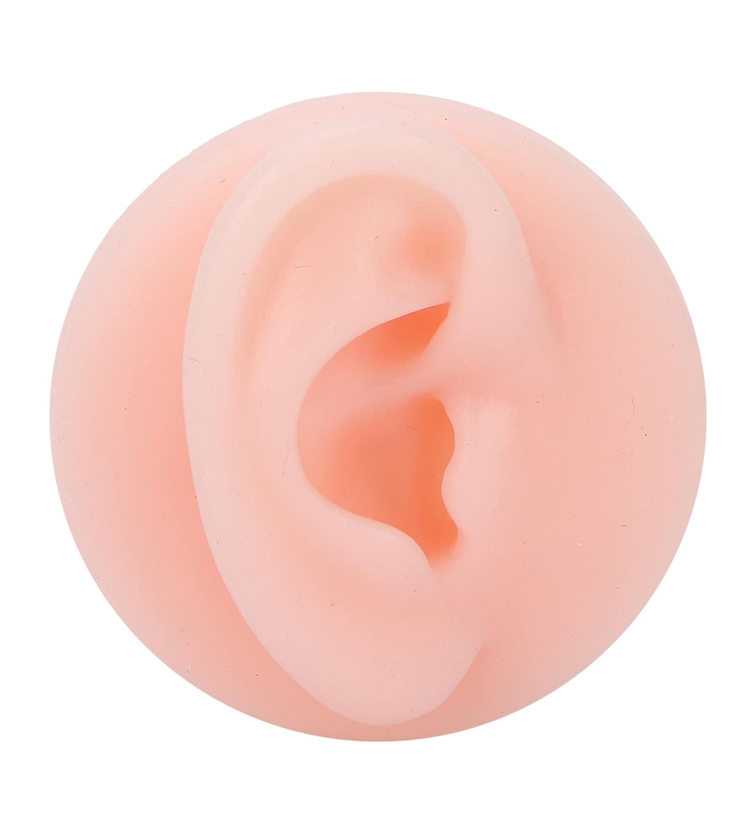 Brrnoo Soft Silicone Ear Model Display for Earmakeup Practice - Fake Ear for Acupuncture Jewelry Audio Recording & Education (Right) - Buy Online on GoSupps.com
