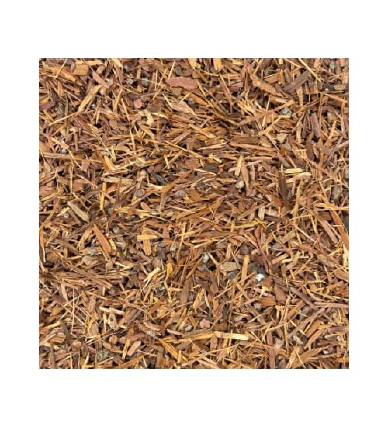 Catuaba Bark C/S (1 LB) - Buy Online on GoSupps.com