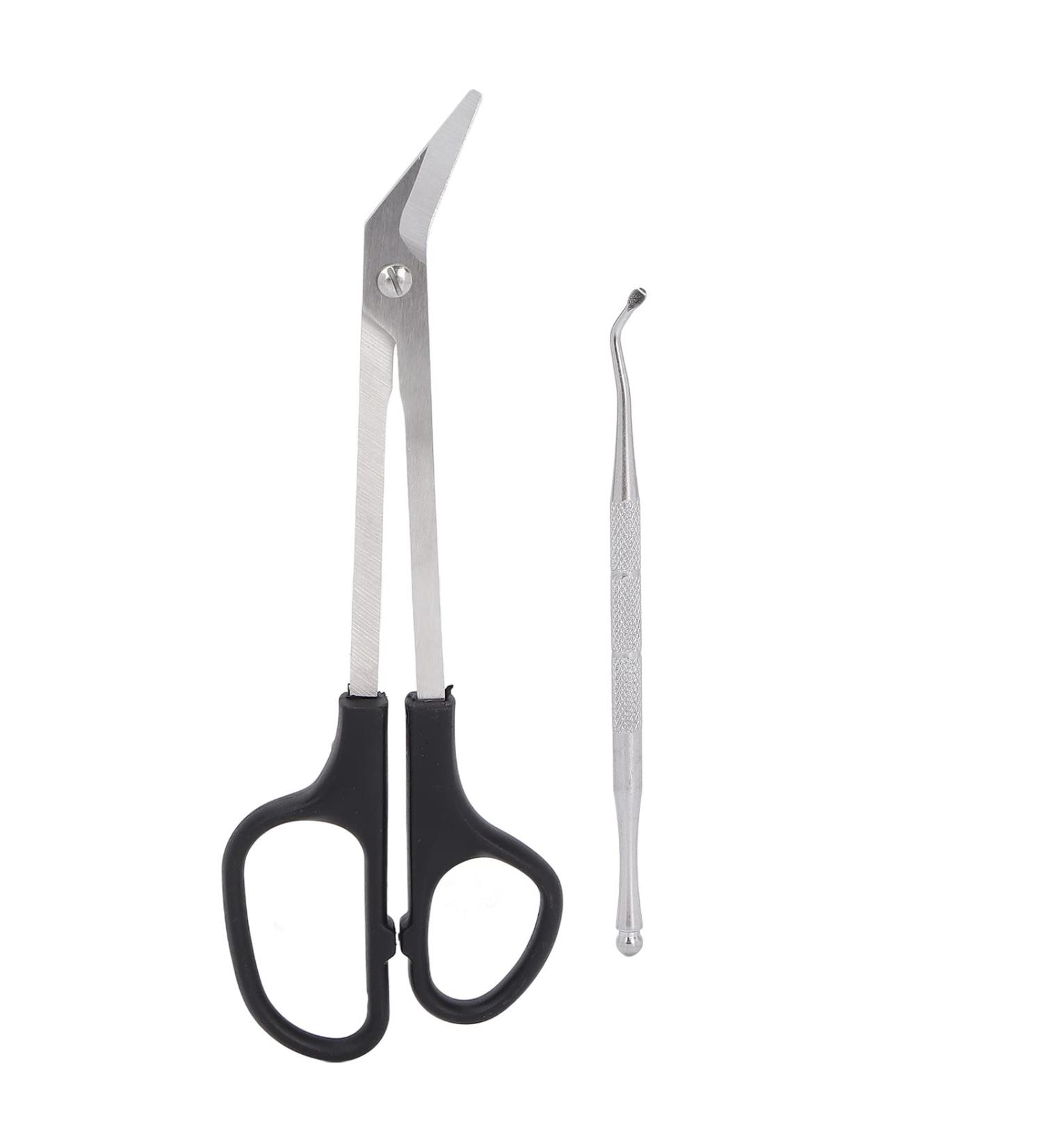 Toenail Clippers for Seniors Toenail Scissors Long Handled Ergonomic Unique Design Toenail Clippers with Nail Picker for Adults The Elderly - Buy Online on GoSupps.com
