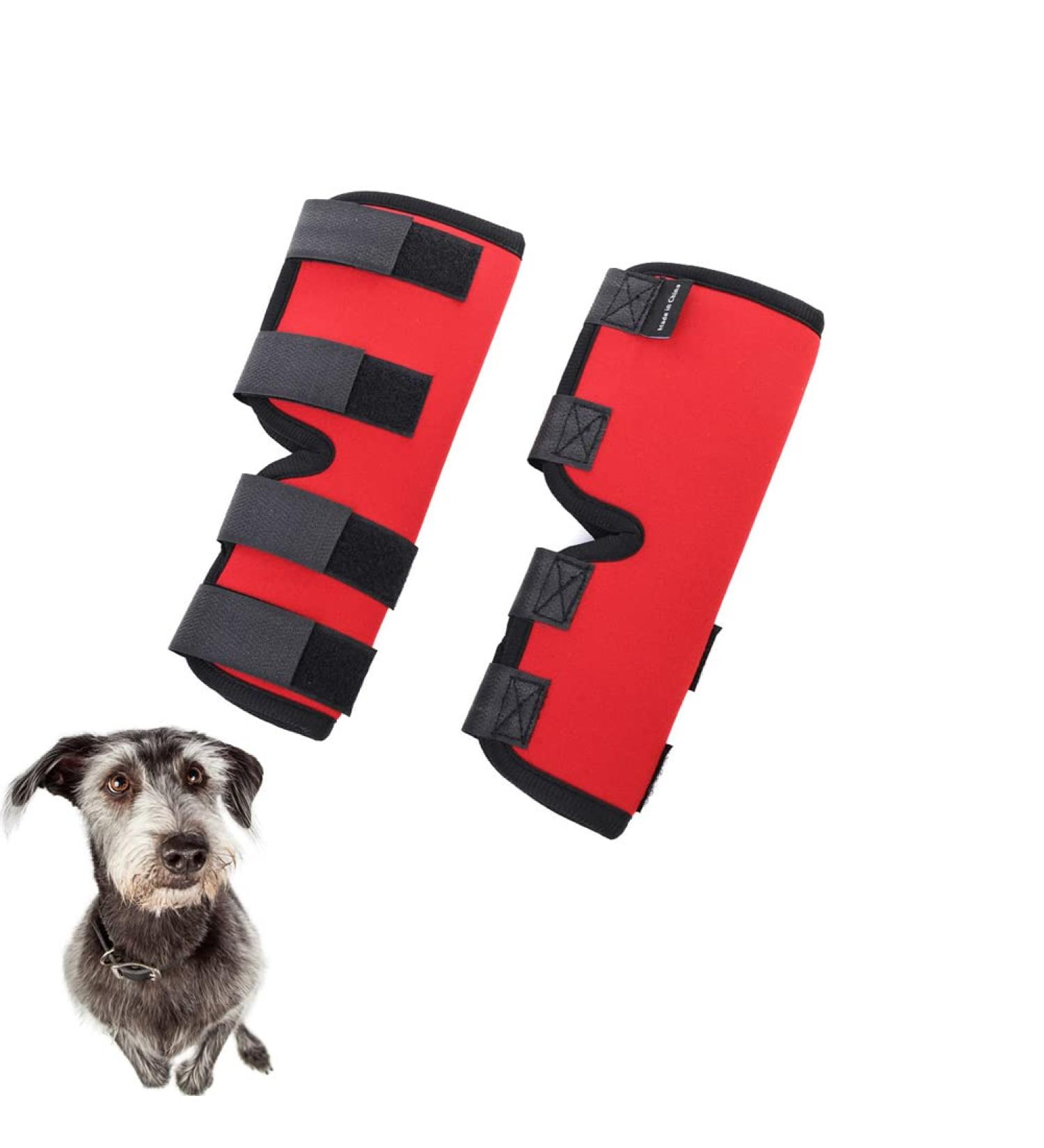 Dog Leg Brace 2 Pack Canine Dog Leg Joint Wraps Compression Brace Protects Wounds Prevents Injuries and Sprains Helps with Loss of Stability Caused by Arthritis Pet Kneepad|Red (M) - Buy Online on GoSupps.com