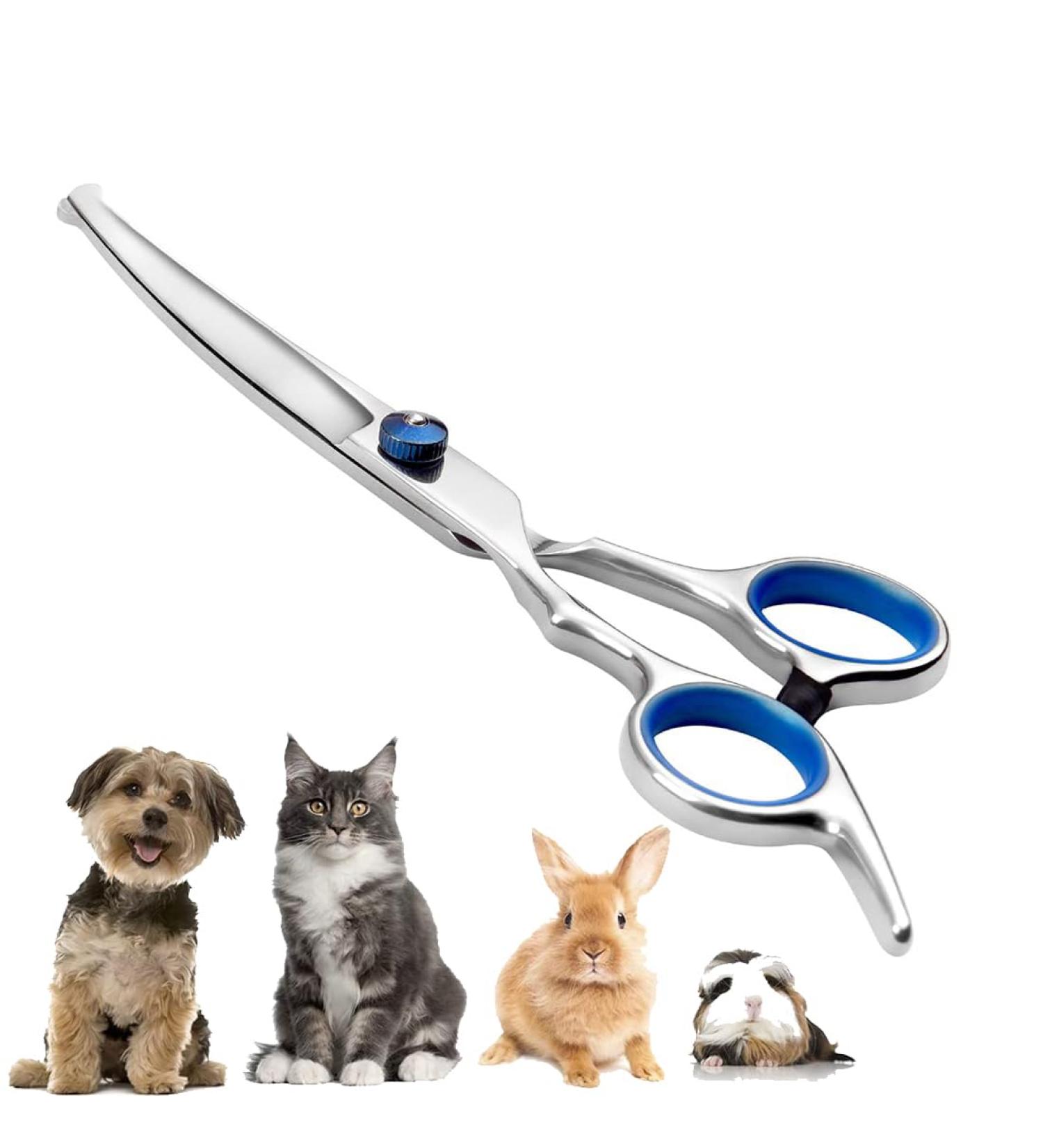 Premium Dog Scissors | Stainless Steel Grooming Scissors for Dogs & Cats | Safety Round Tip Dog Hair Scissors - Buy Online on GoSupps.com