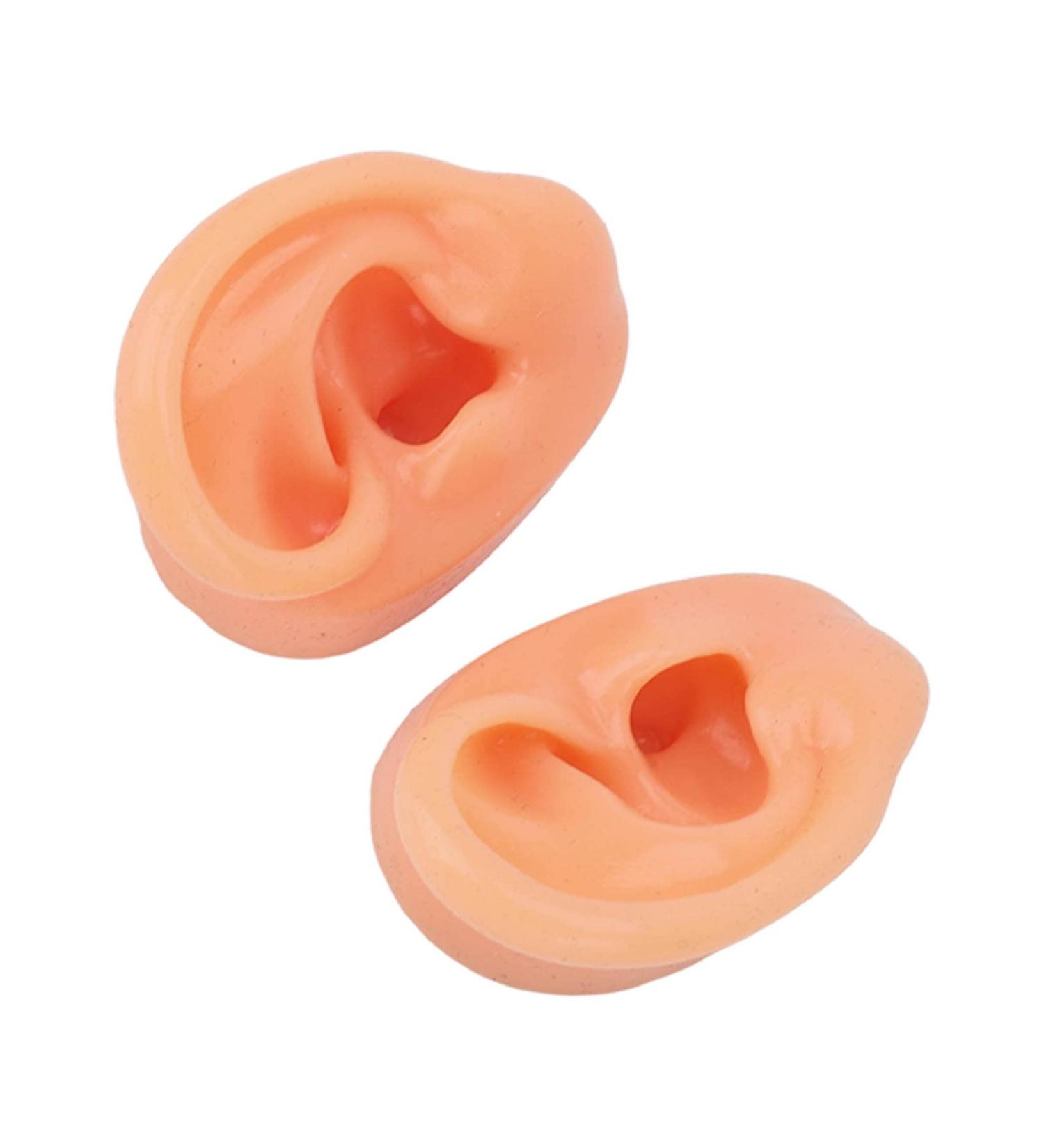 Soft Waterproof Ear Display Model | Simulated Model for Doctors & Centers - Buy Online on GoSupps.com