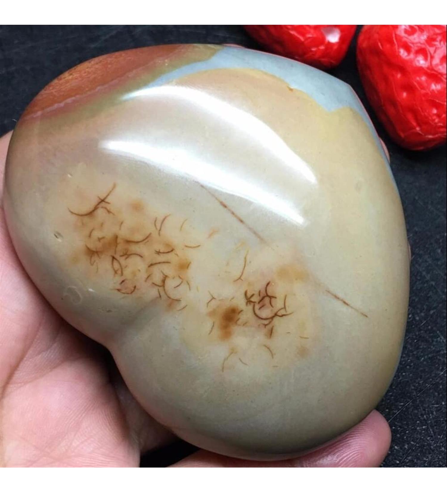 Natural Stone Sea Stone Ancient Rock Specimen Heart 220g Beautiful Crystal - Buy Online on GoSupps.com