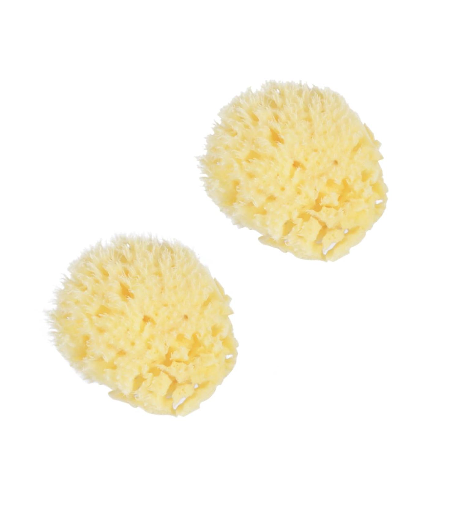 Healeved Bath Sponge Sponges Bath Shower Sponge Seaweed Sponge Natural Algae Sponge - Buy Online on GoSupps.com