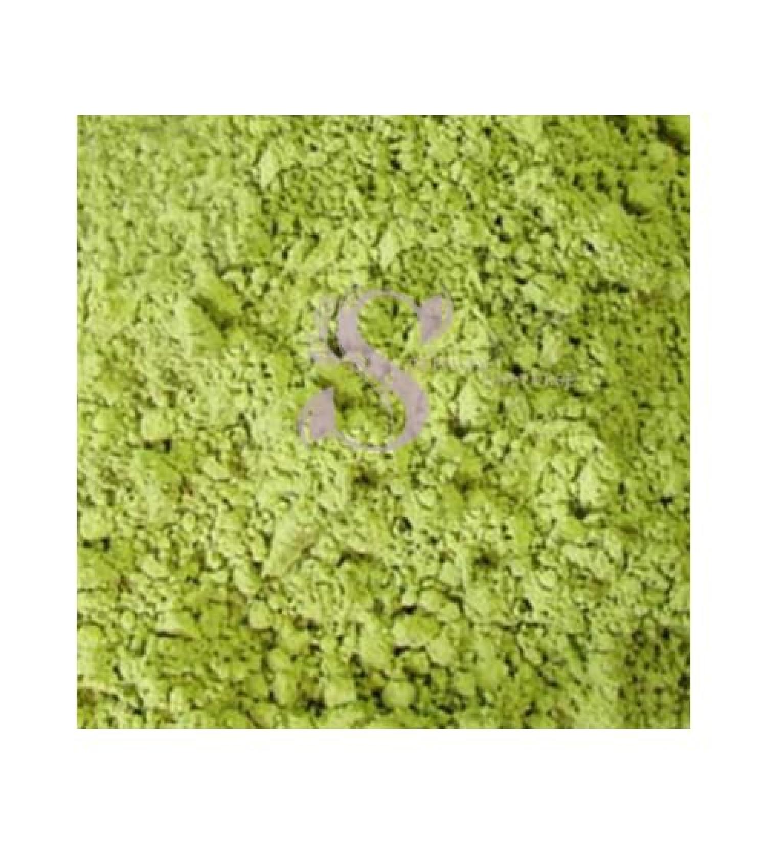 Green Tea Matcha Powder (1 LB) - Buy Online on GoSupps.com